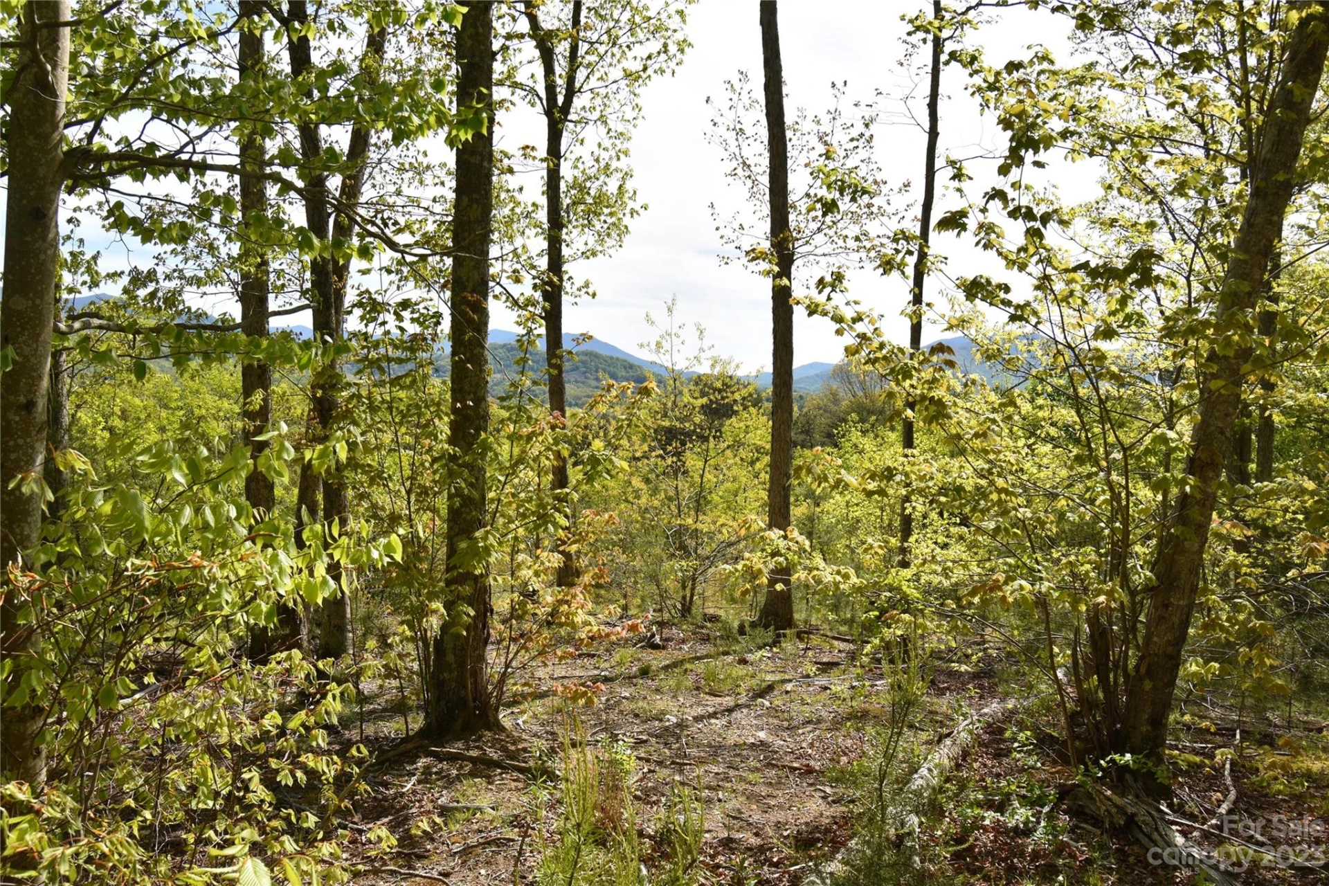Land Off Ransom Road - Photo 35