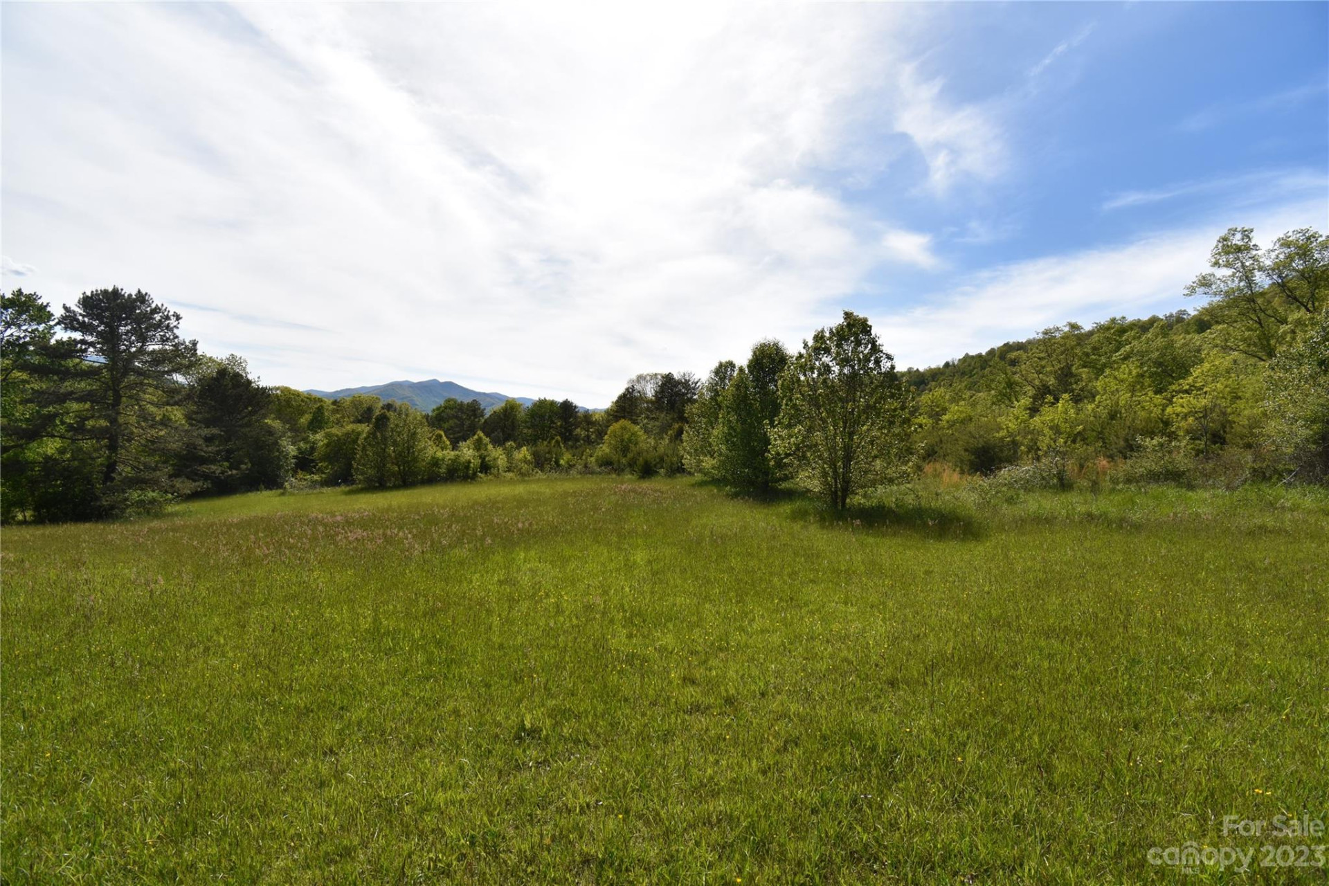 Land Off Ransom Road - Photo 36