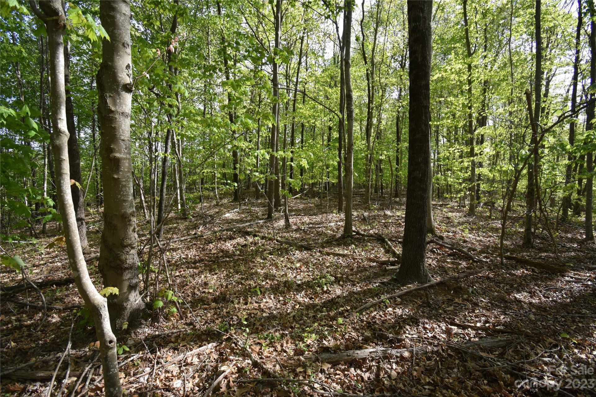Land Off Ransom Road - Photo 37