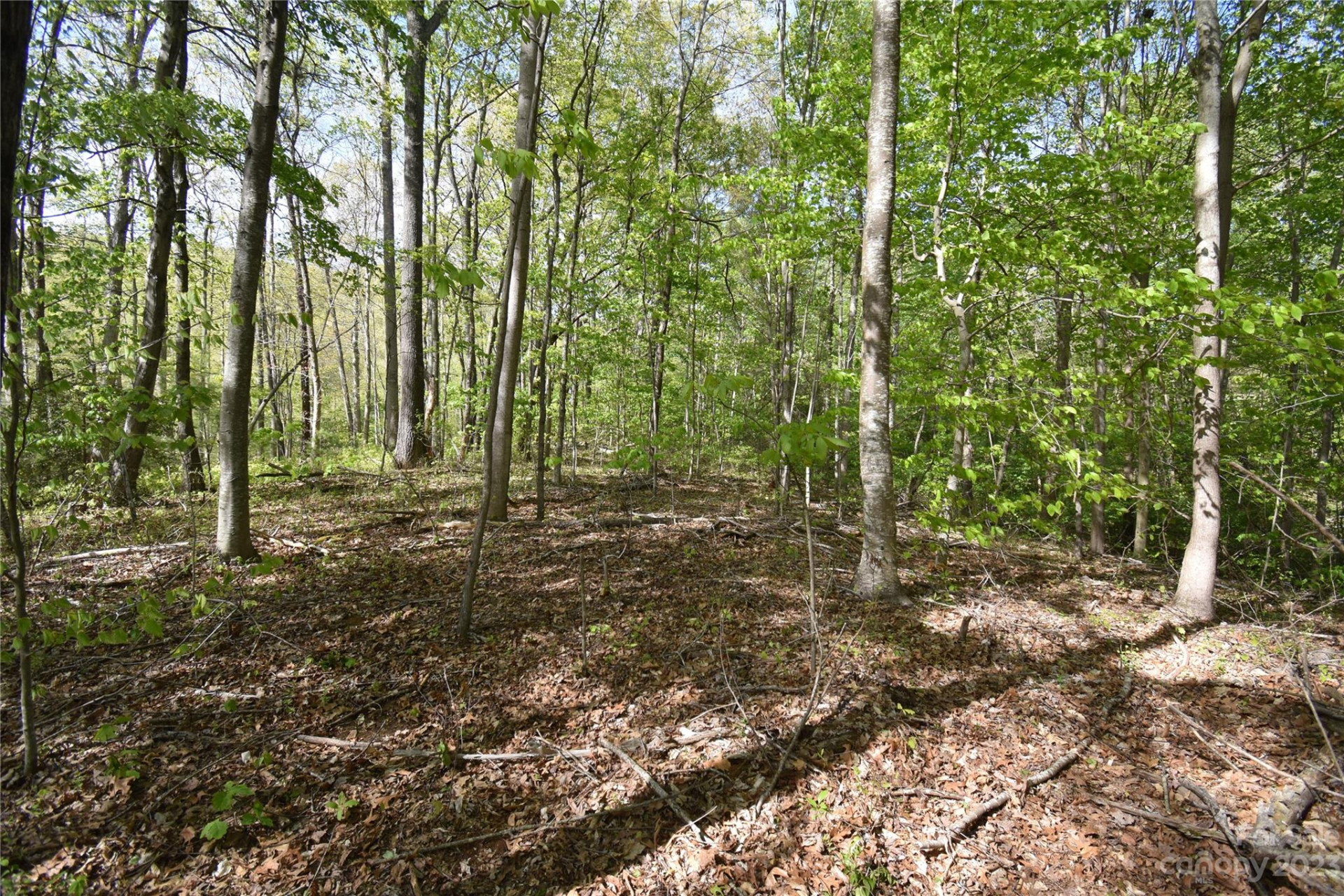 Land Off Ransom Road - Photo 38