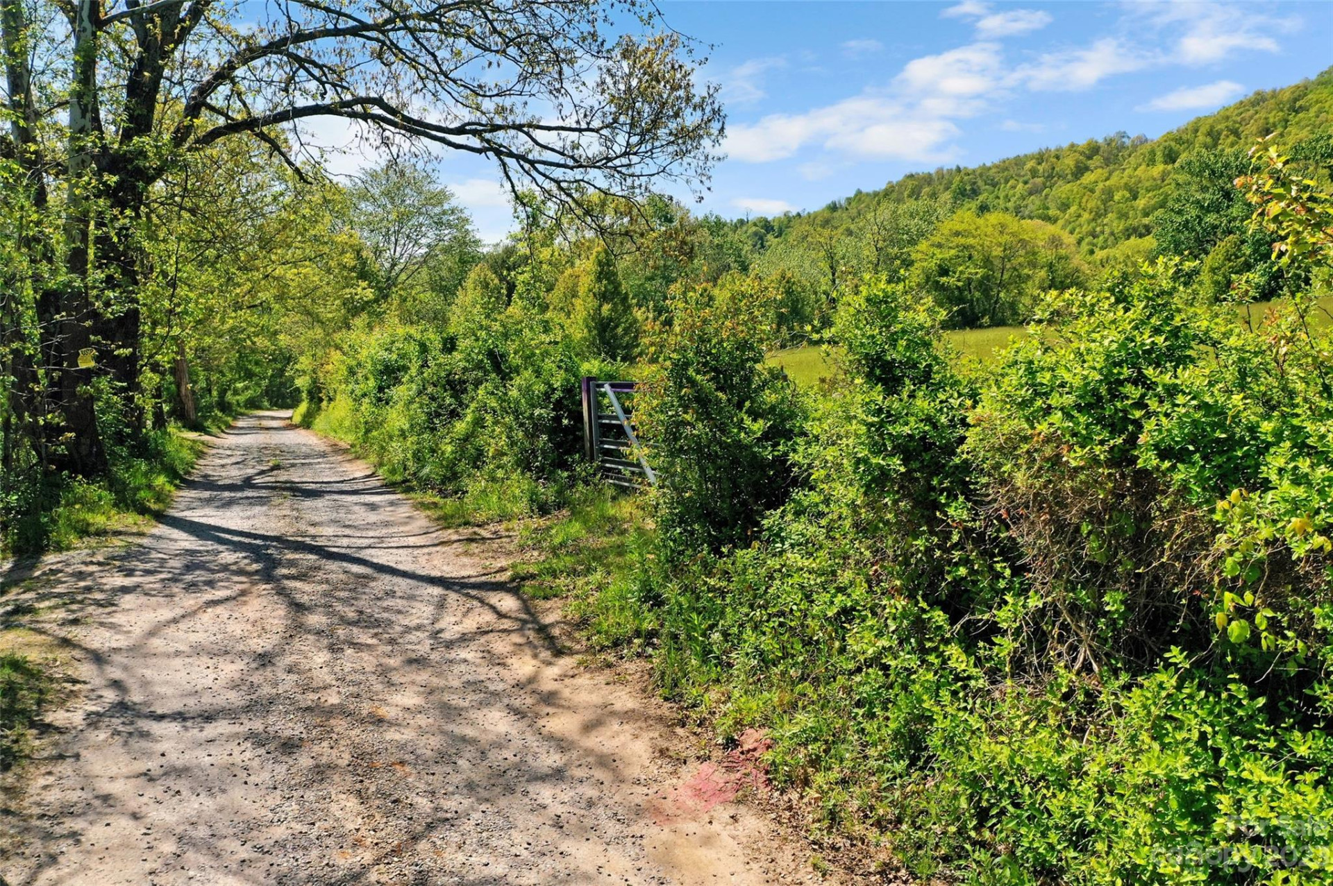 Land Off Ransom Road - Photo 5