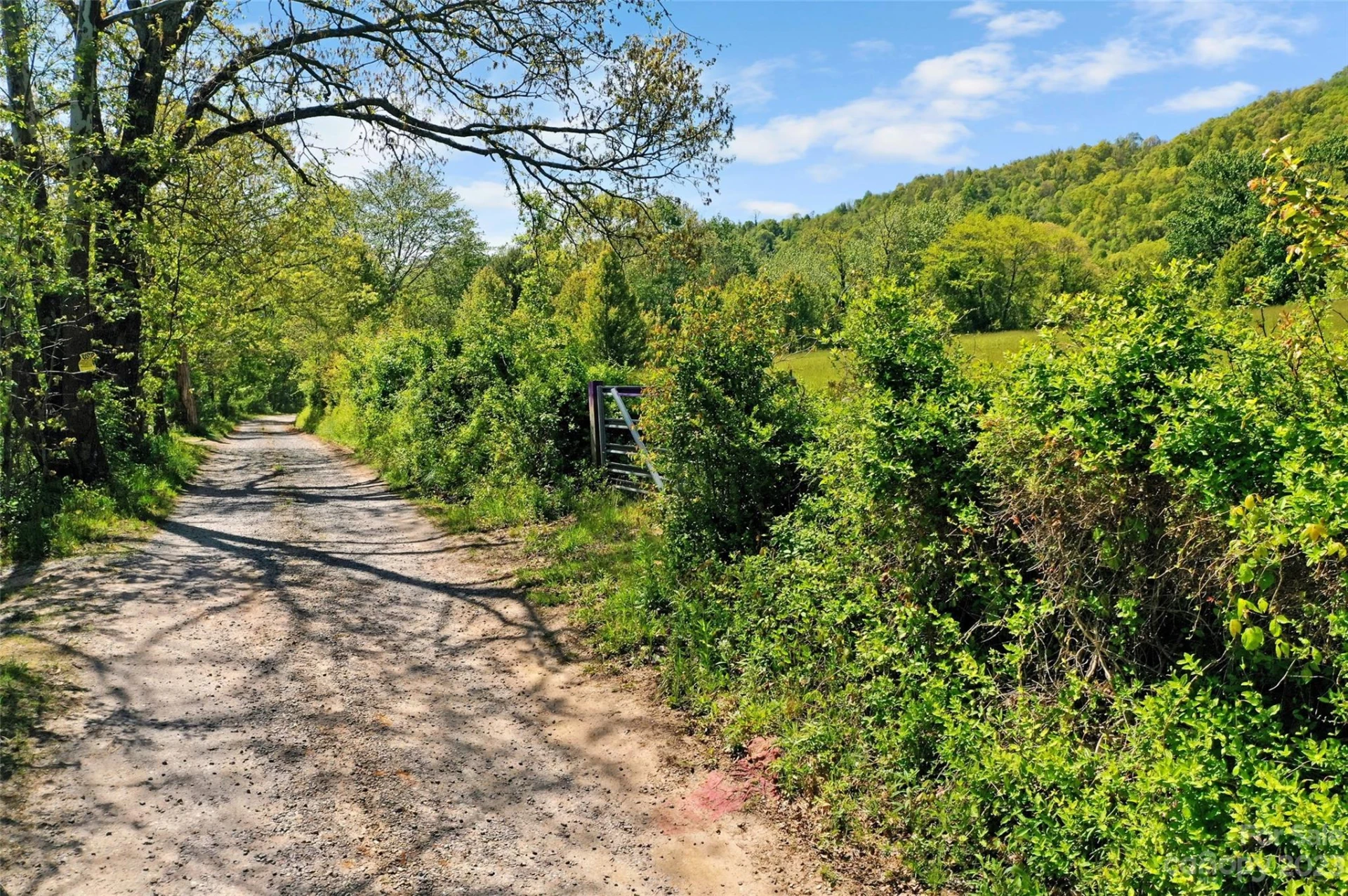 Land Off Ransom Road - Photo 5