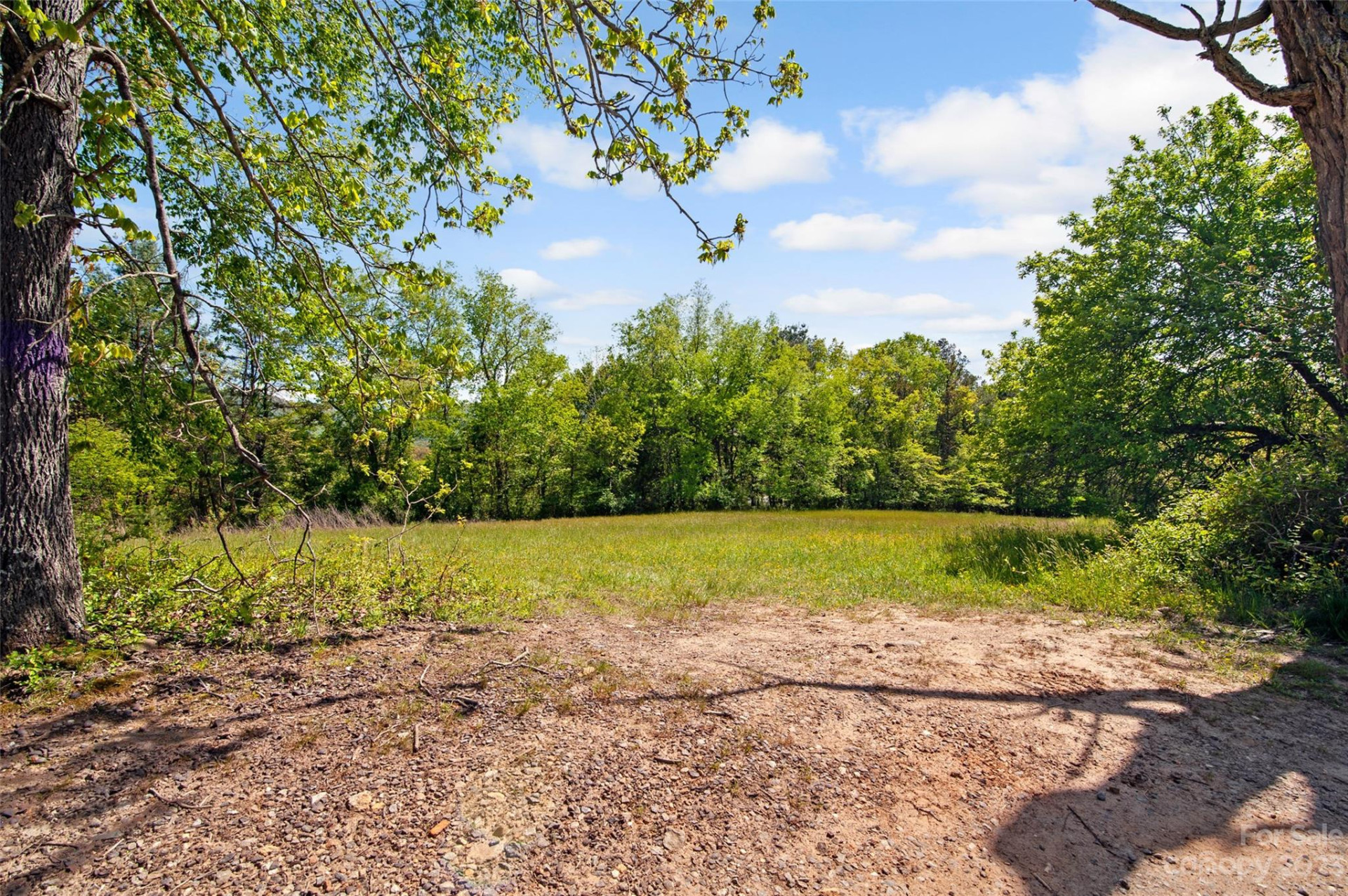 Land Off Ransom Road - Photo 7