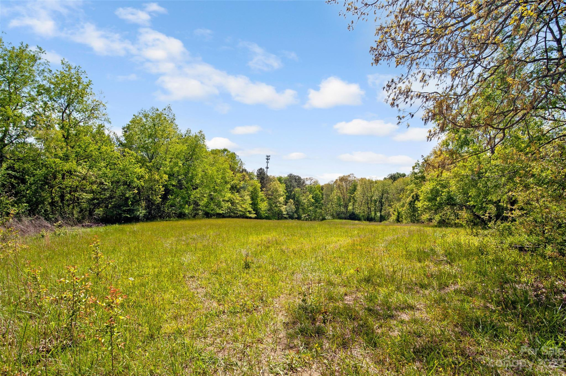 Land Off Ransom Road - Photo 8
