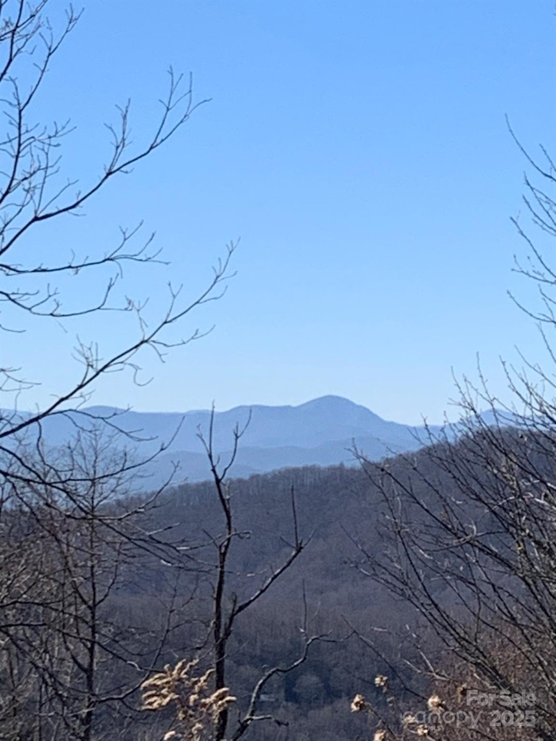 9999 Ebby Ridge Drive #336