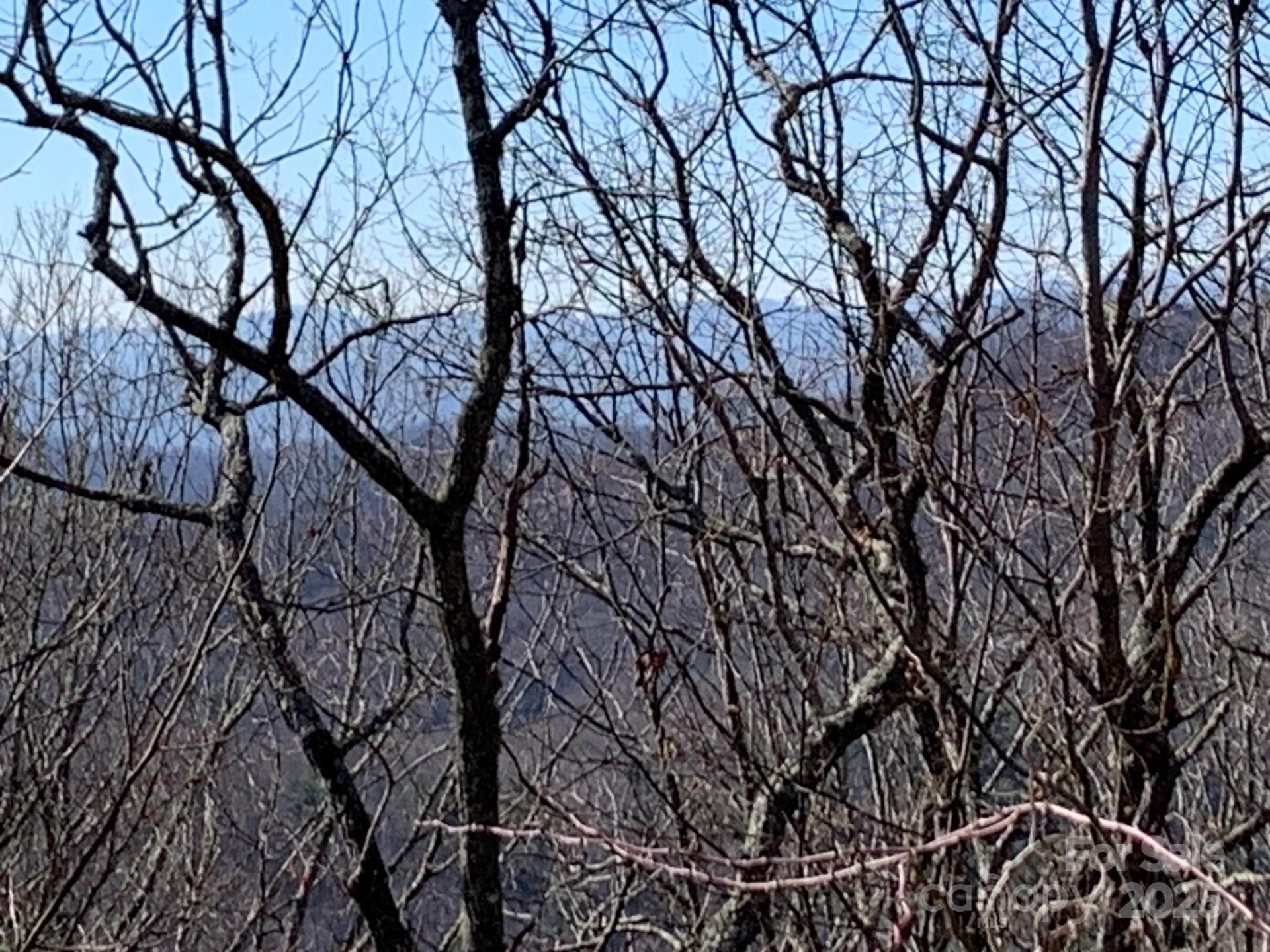 9999 Ebby Ridge Drive #336 - Photo 5