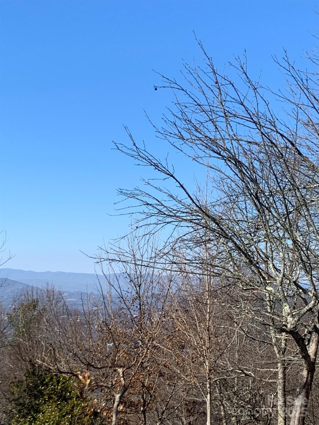 9999 Ebby Ridge Drive #340 - Photo 5