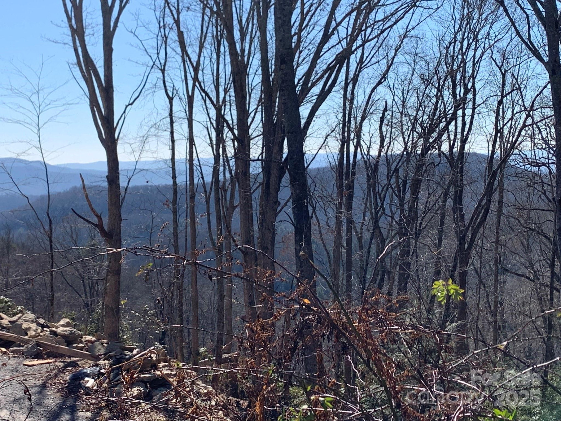 9999 Ebby Ridge Drive #340 - Photo 6