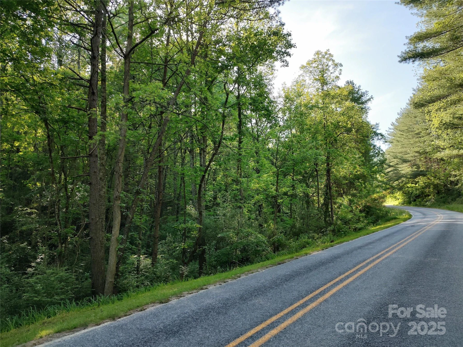 0000 Lindsey Loop Road - Photo 11