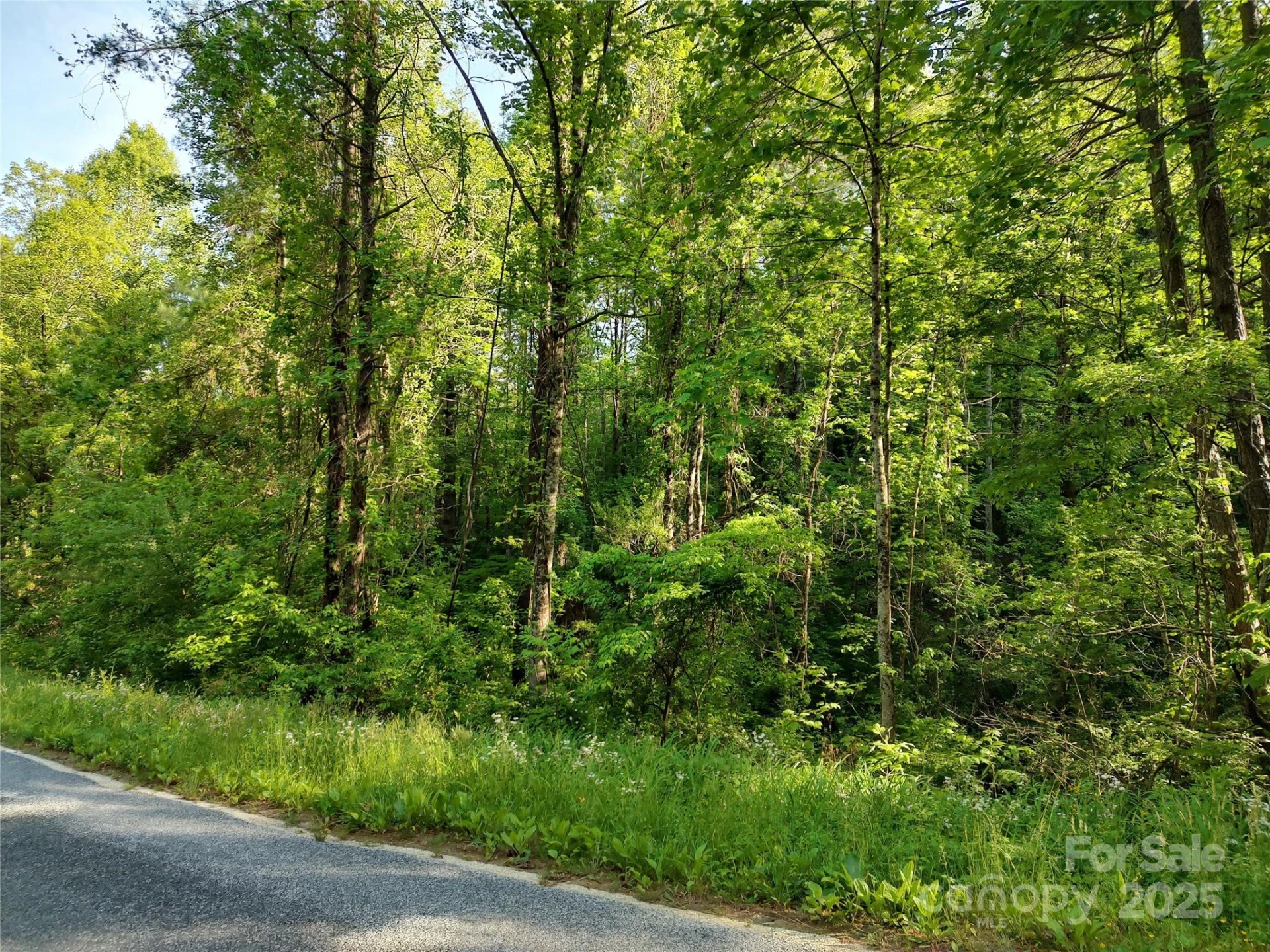 0000 Lindsey Loop Road - Photo 12