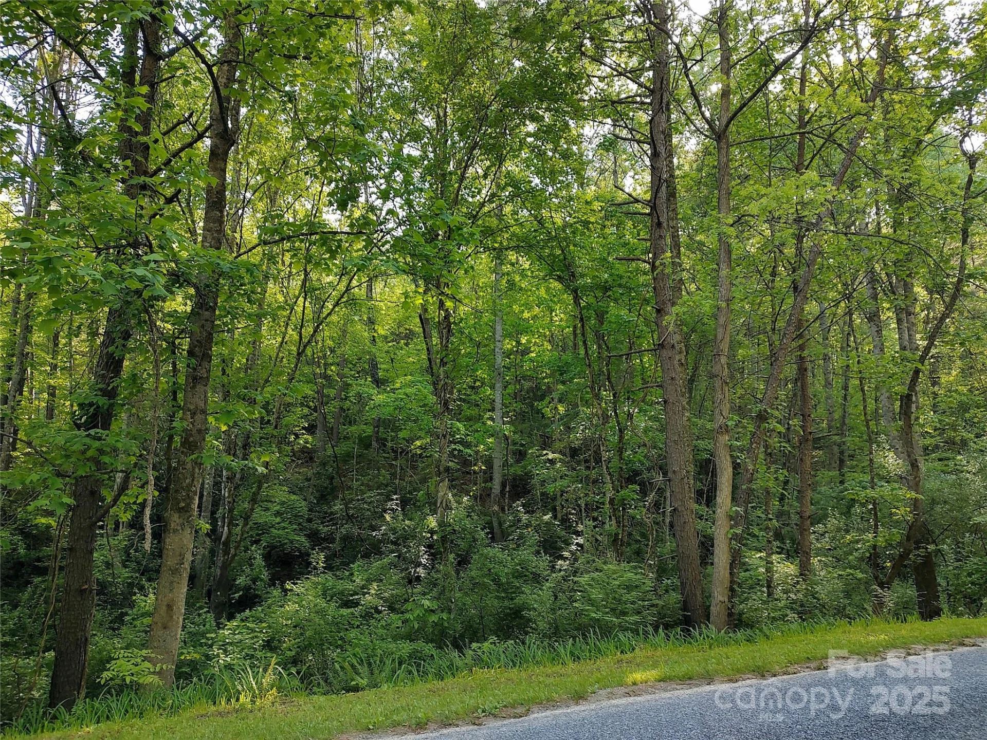 0000 Lindsey Loop Road - Photo 13