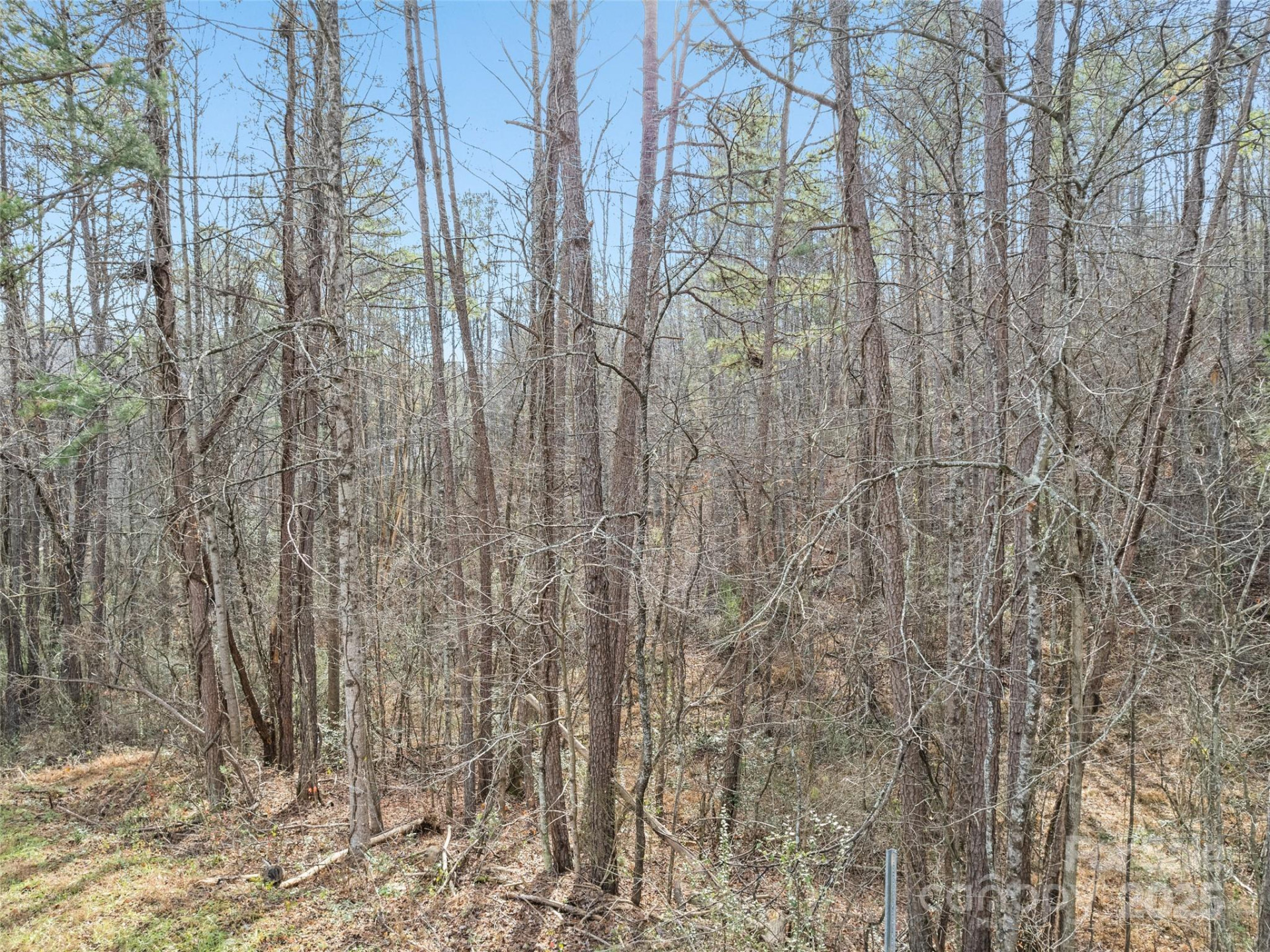 0000 Lindsey Loop Road - Photo 8