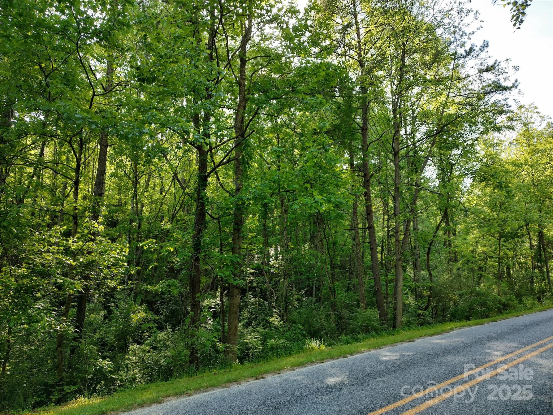 0000 Lindsey Loop Road - Photo 10