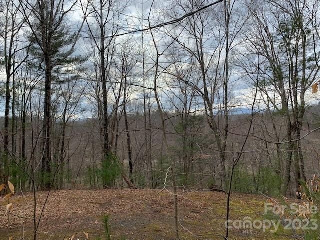 Lot 6 Theresa Terrace Meadows #6 - Photo 5