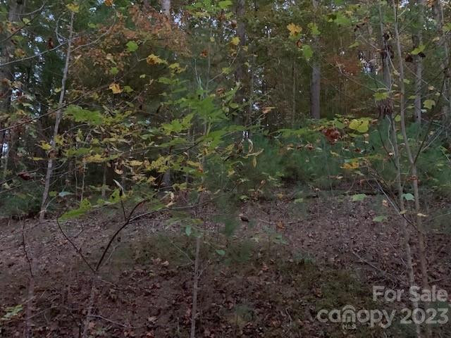 Lot 6 Theresa Terrace Meadows #6 - Photo 6