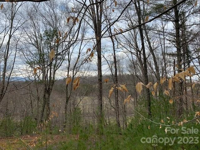 Lot 6 Theresa Terrace Meadows #6 - Photo 7