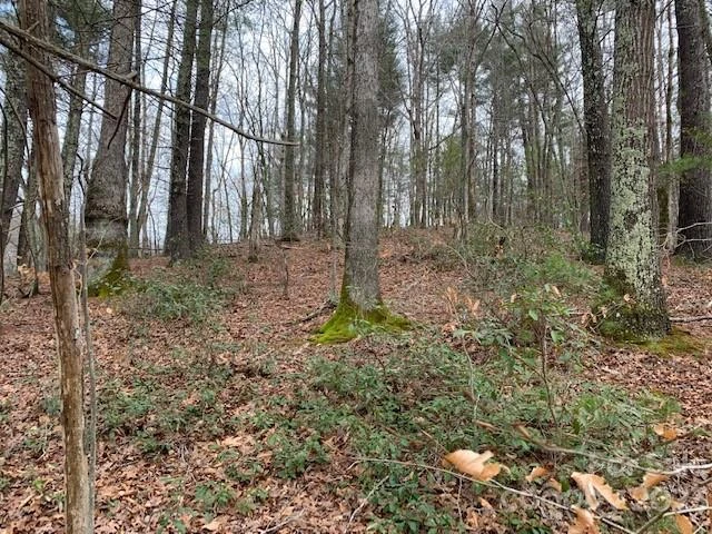 Lot 6 Theresa Terrace Meadows #6 - Photo 8