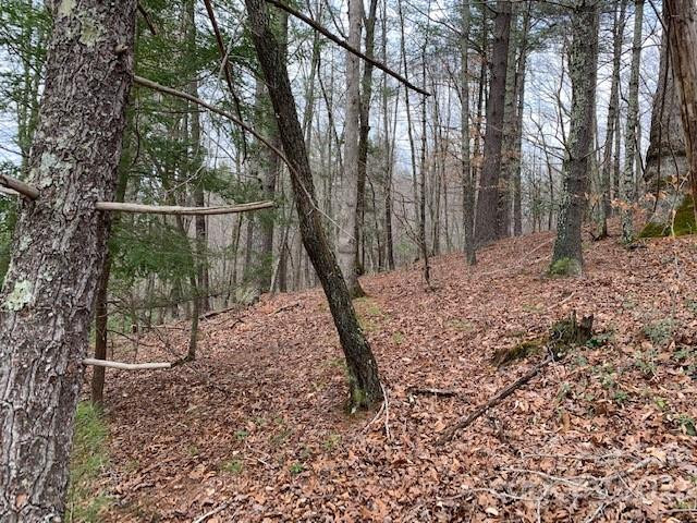 Lot 6 Theresa Terrace Meadows #6 - Photo 9