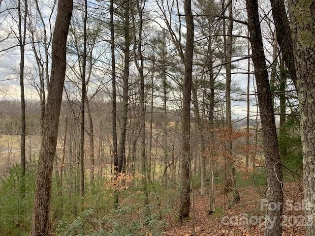Lot 6 Theresa Terrace Meadows #6 - Photo 10