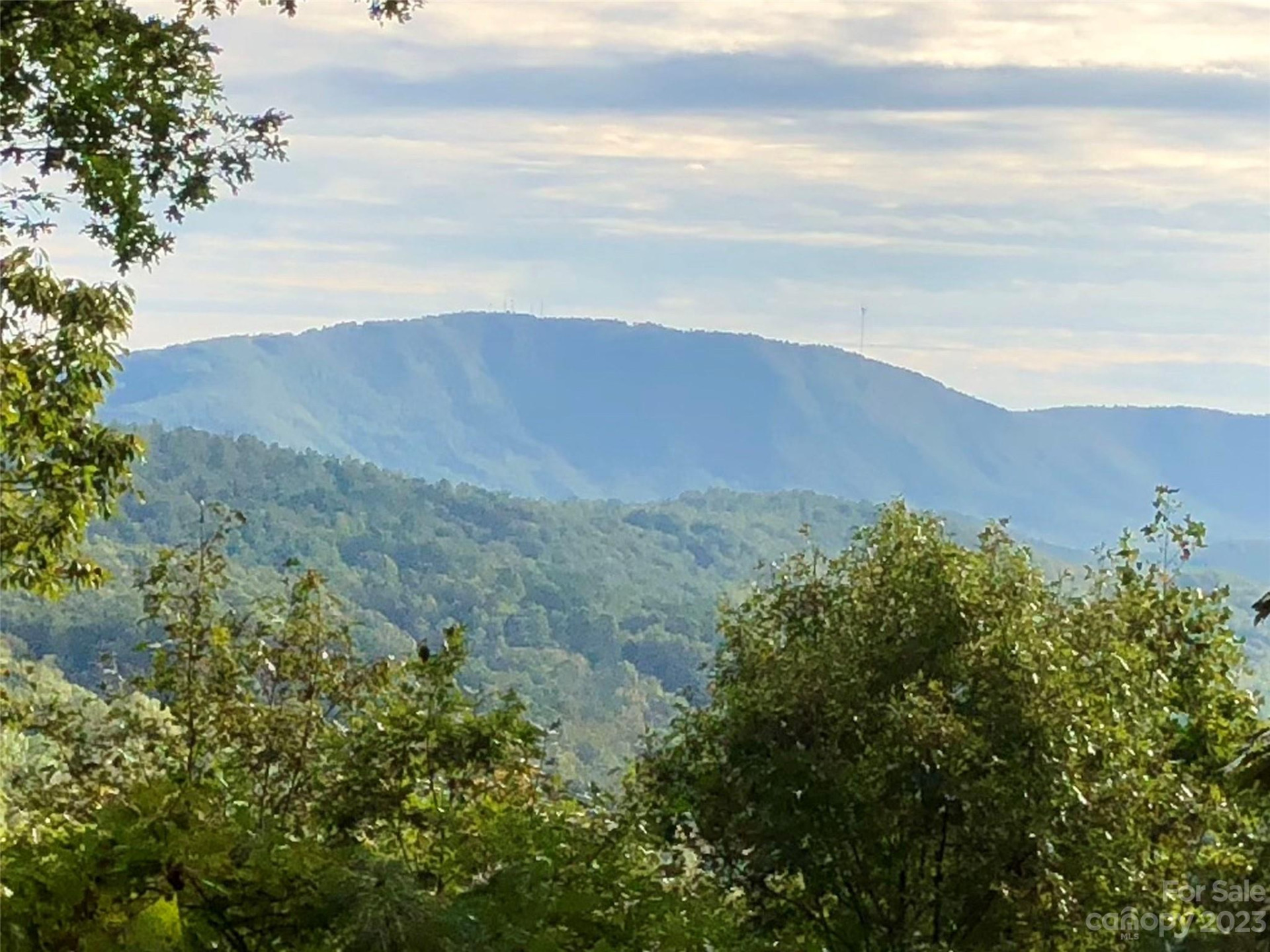 216 BENT PINE Trace #174