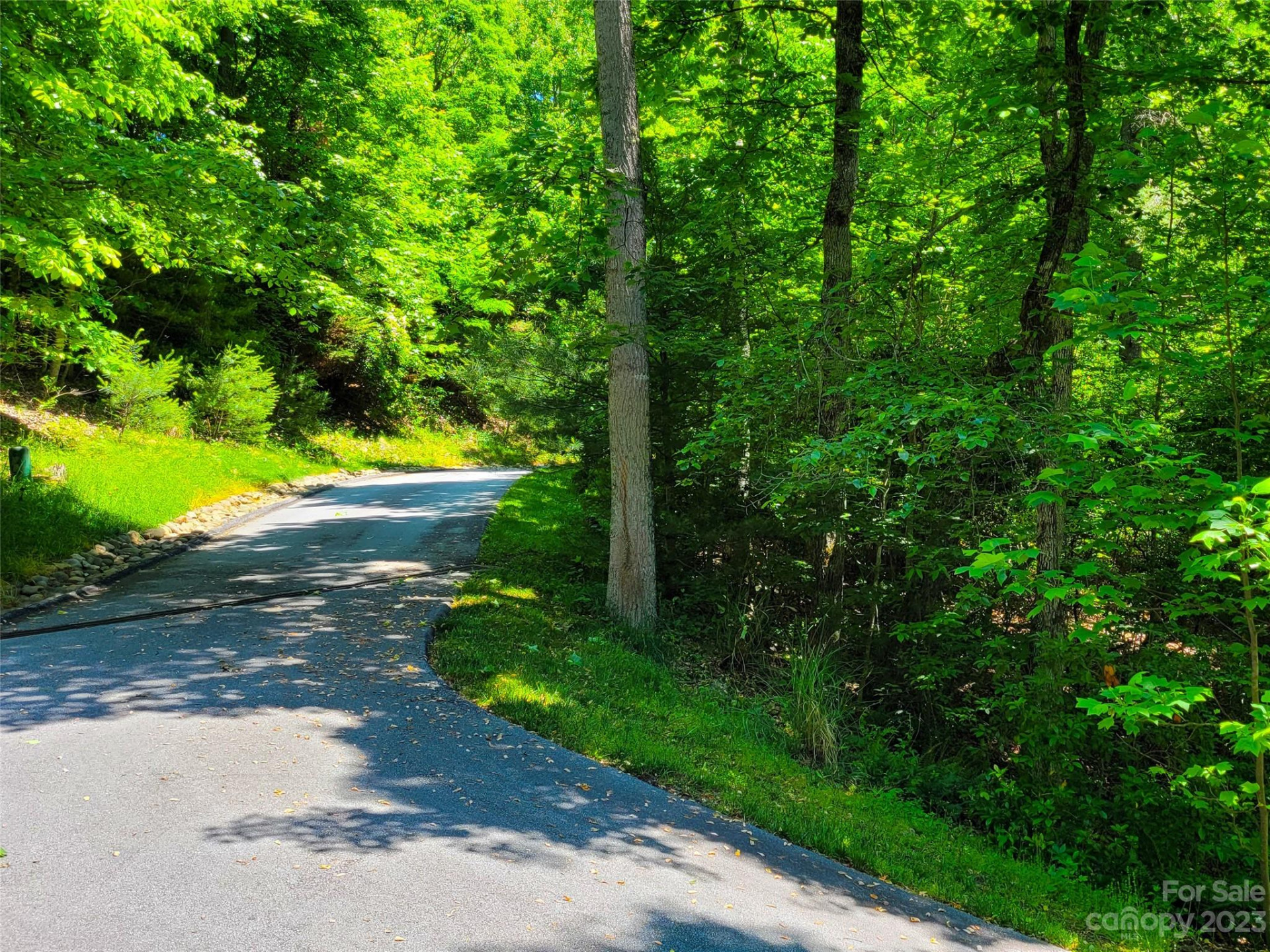 216 BENT PINE Trace #174 - Photo 2