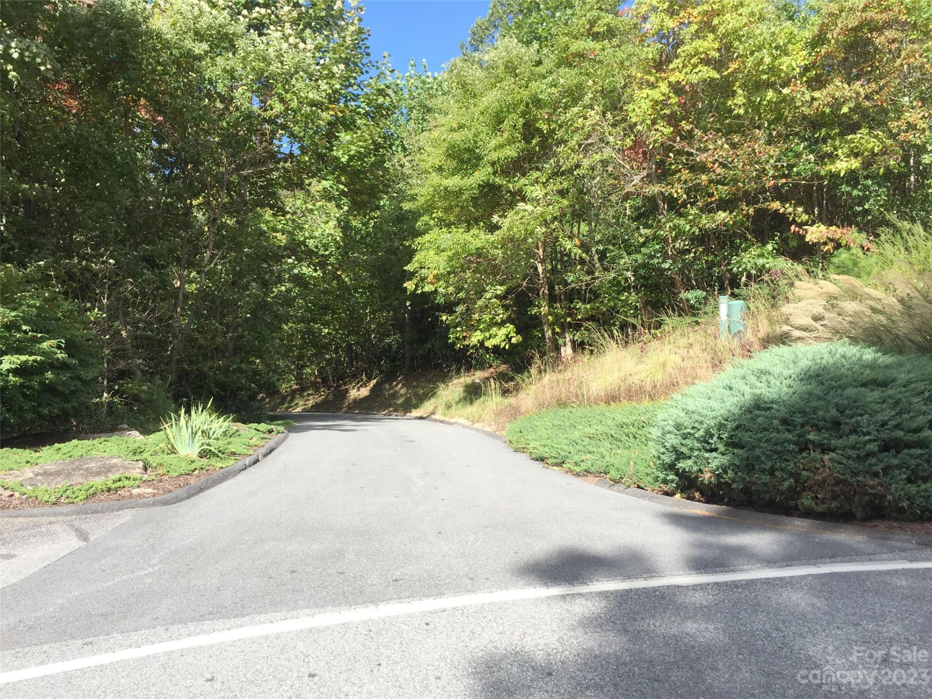 216 BENT PINE Trace #174 - Photo 11