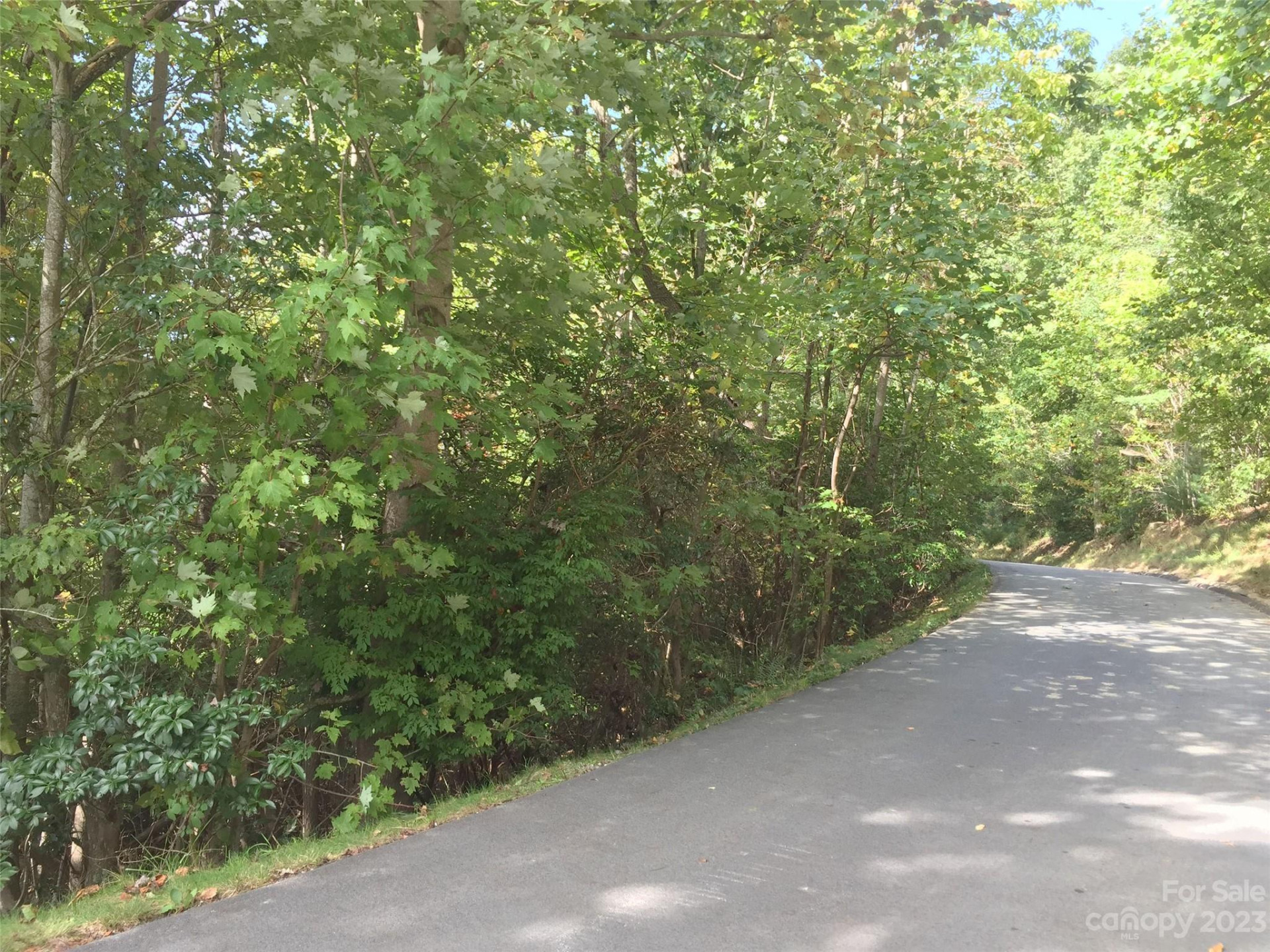 216 BENT PINE Trace #174 - Photo 12