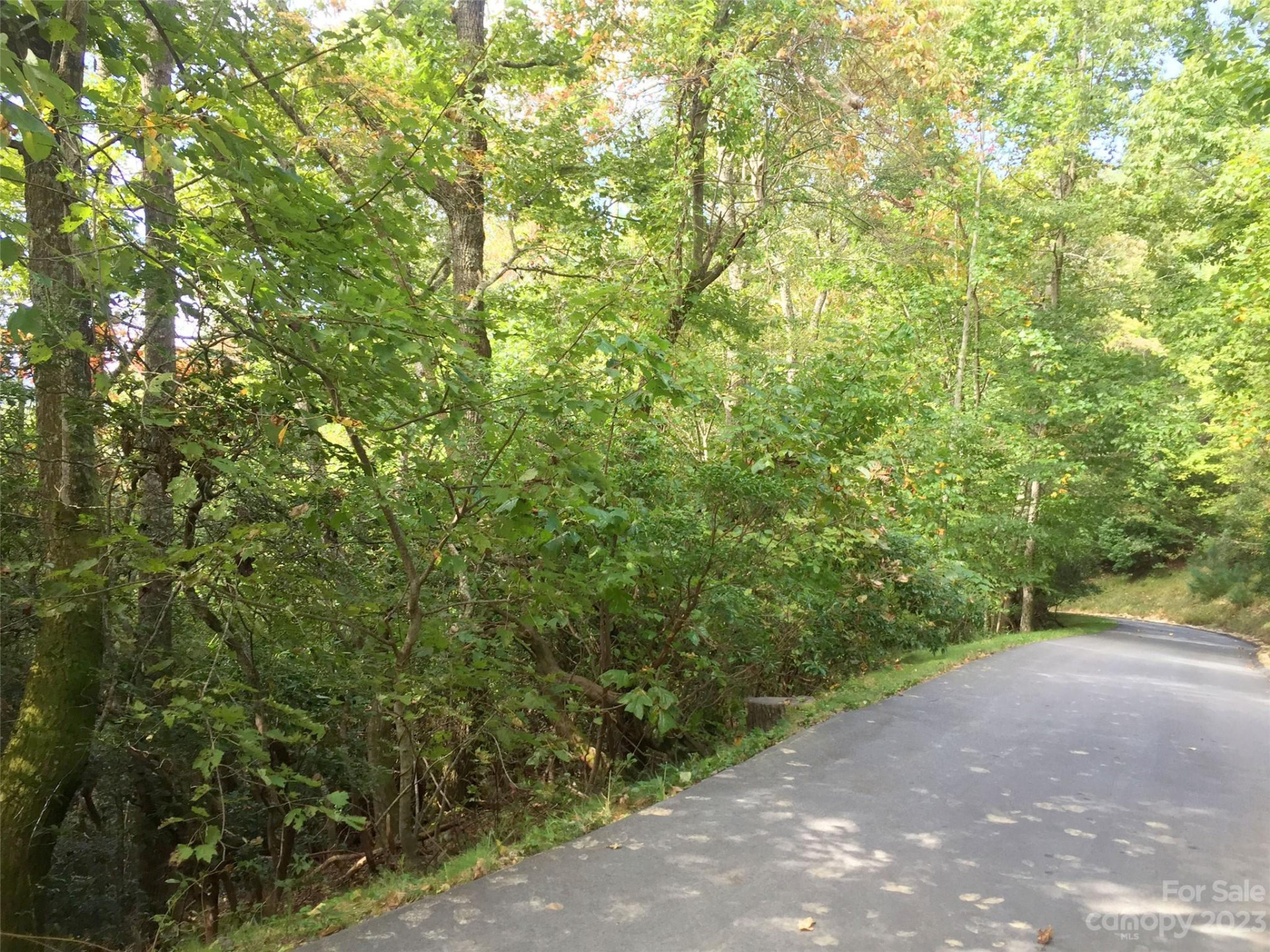 216 BENT PINE Trace #174 - Photo 13