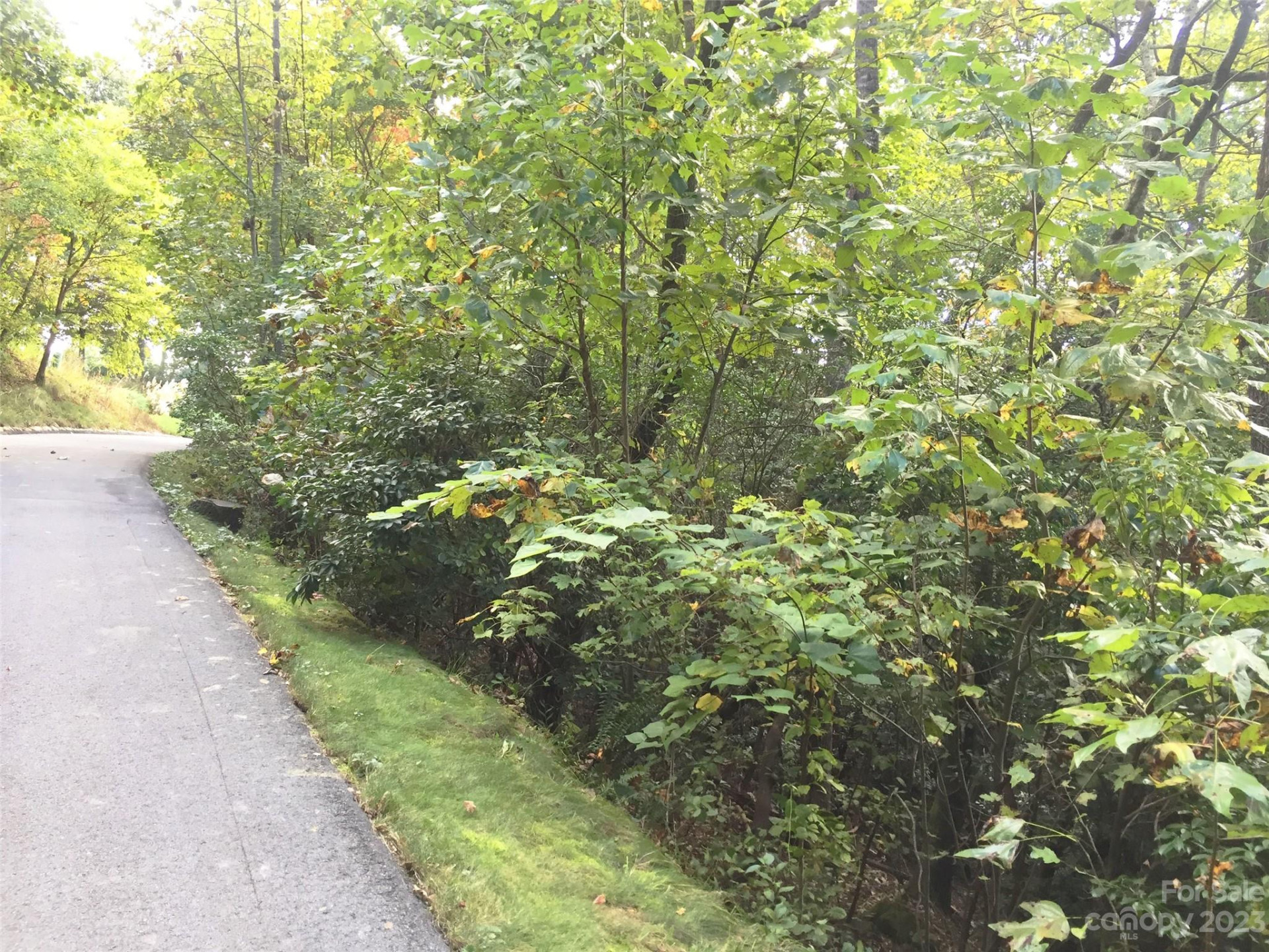 216 BENT PINE Trace #174 - Photo 14