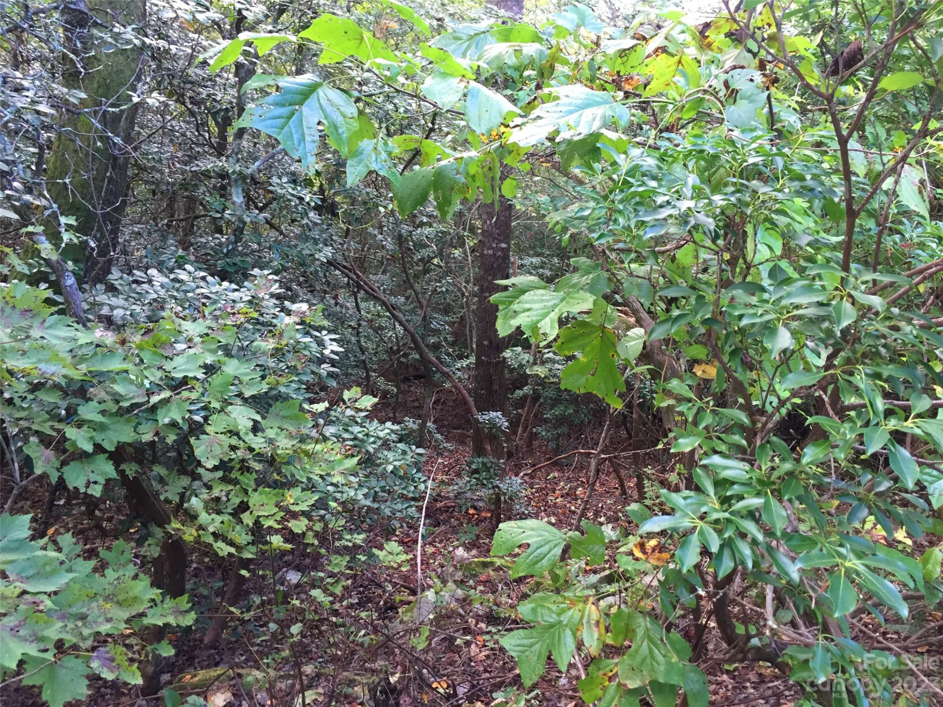 216 BENT PINE Trace #174 - Photo 15