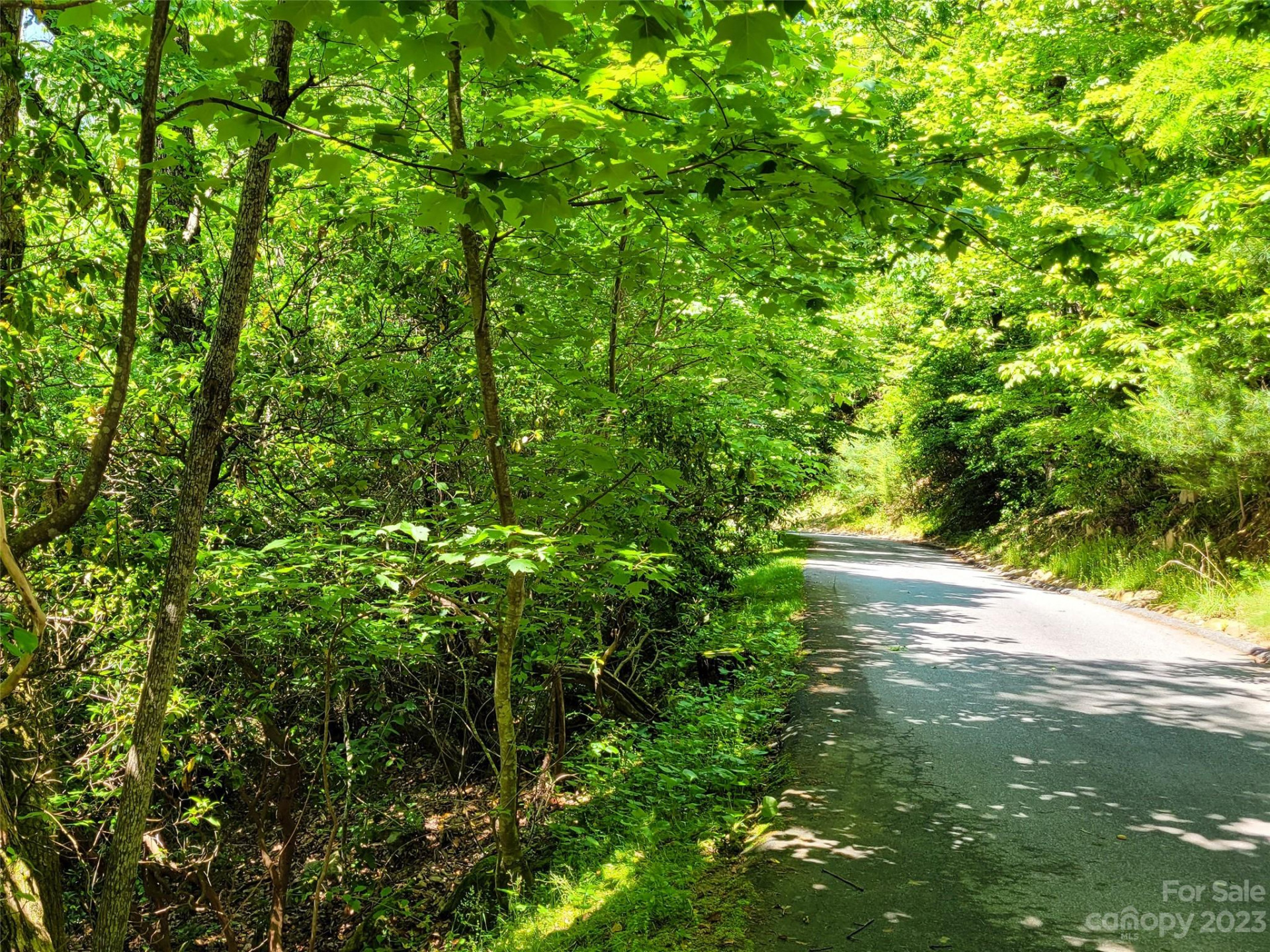 216 BENT PINE Trace #174 - Photo 3