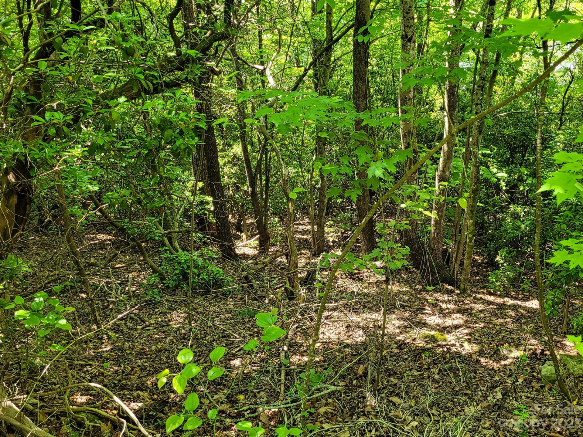 216 BENT PINE Trace #174 - Photo 4