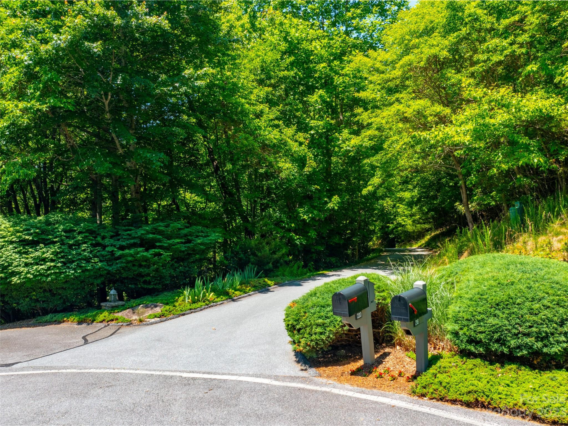 216 BENT PINE Trace #174 - Photo 5