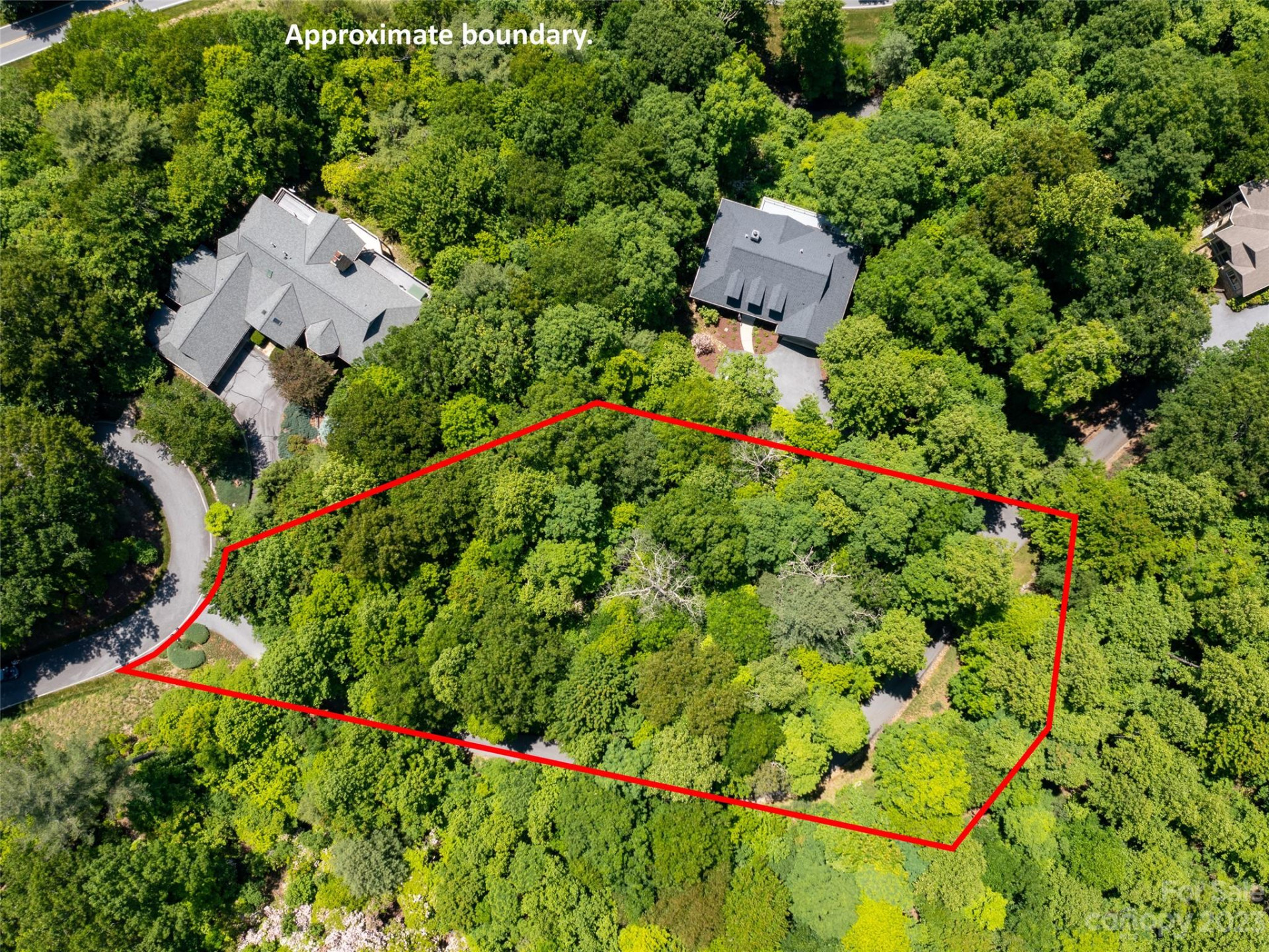 216 BENT PINE Trace #174 - Photo 6