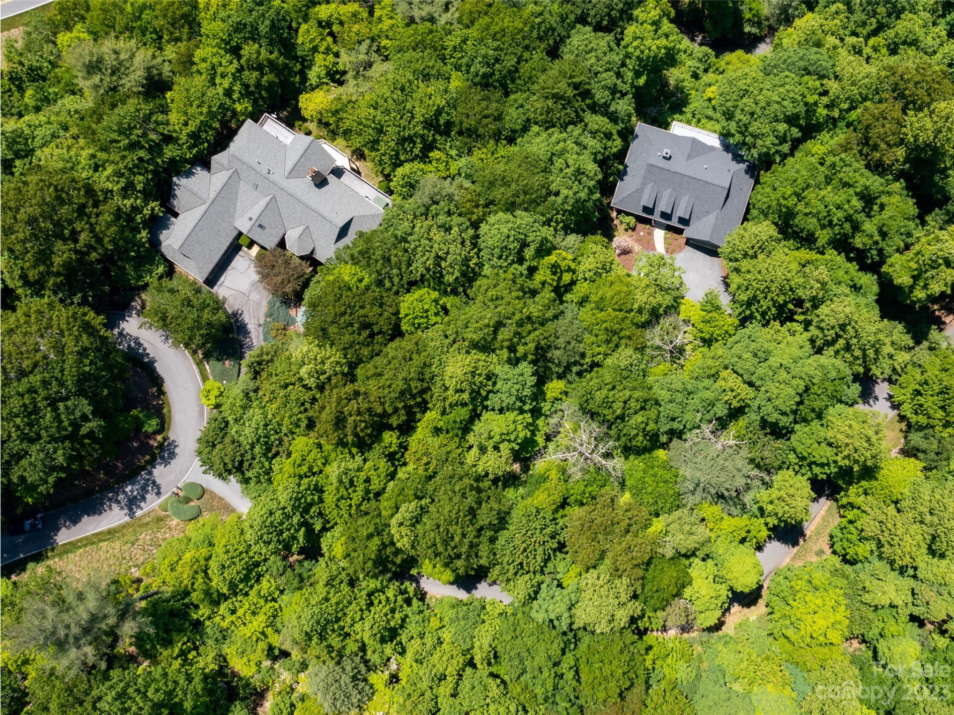 216 BENT PINE Trace #174 - Photo 7