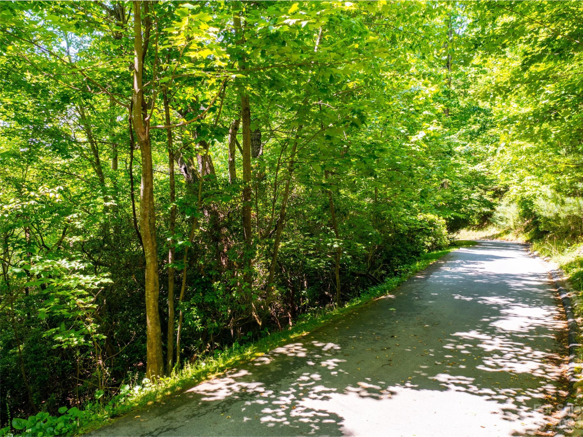 216 BENT PINE Trace #174 - Photo 8