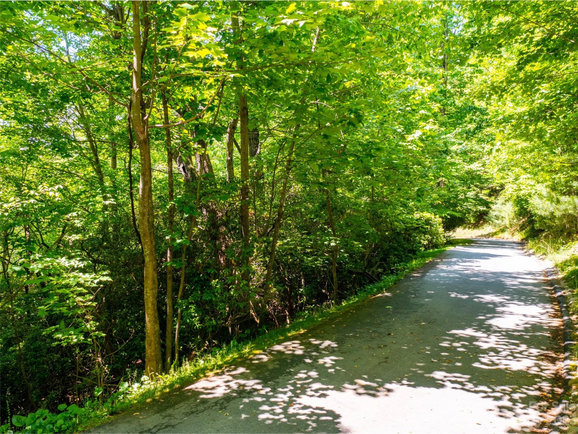 216 BENT PINE Trace #174 - Photo 8