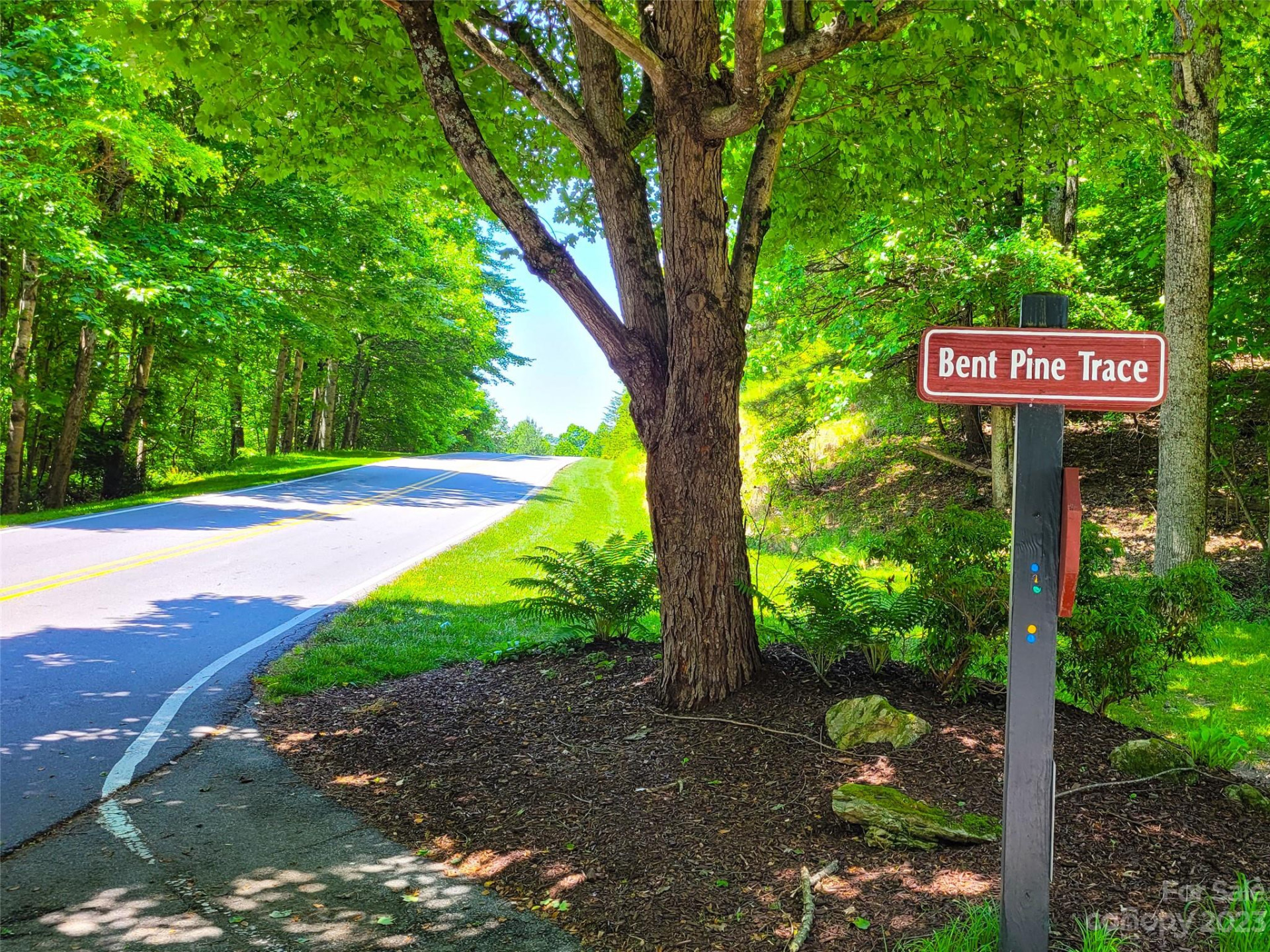 216 BENT PINE Trace #174 - Photo 9