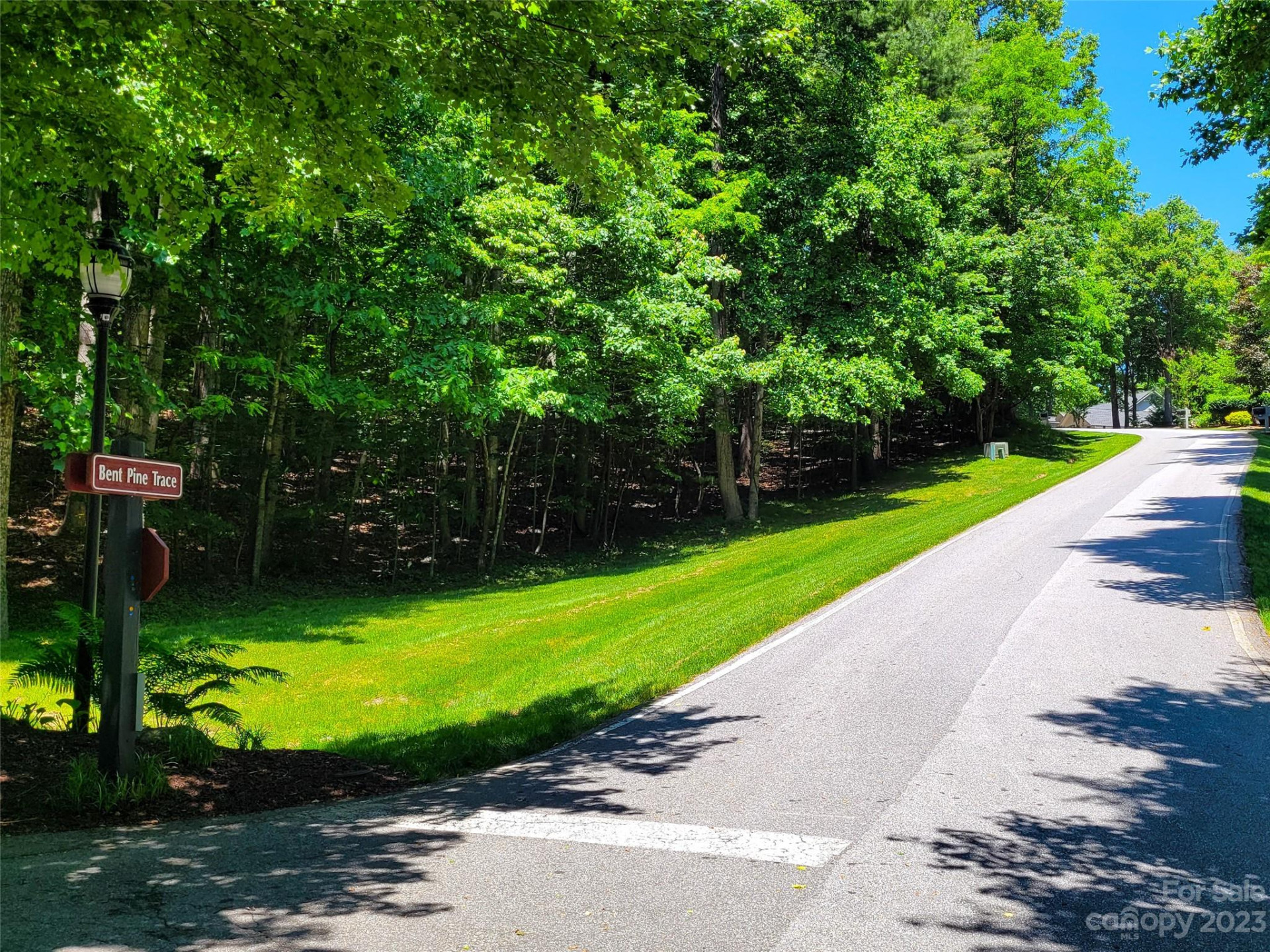 216 BENT PINE Trace #174 - Photo 10