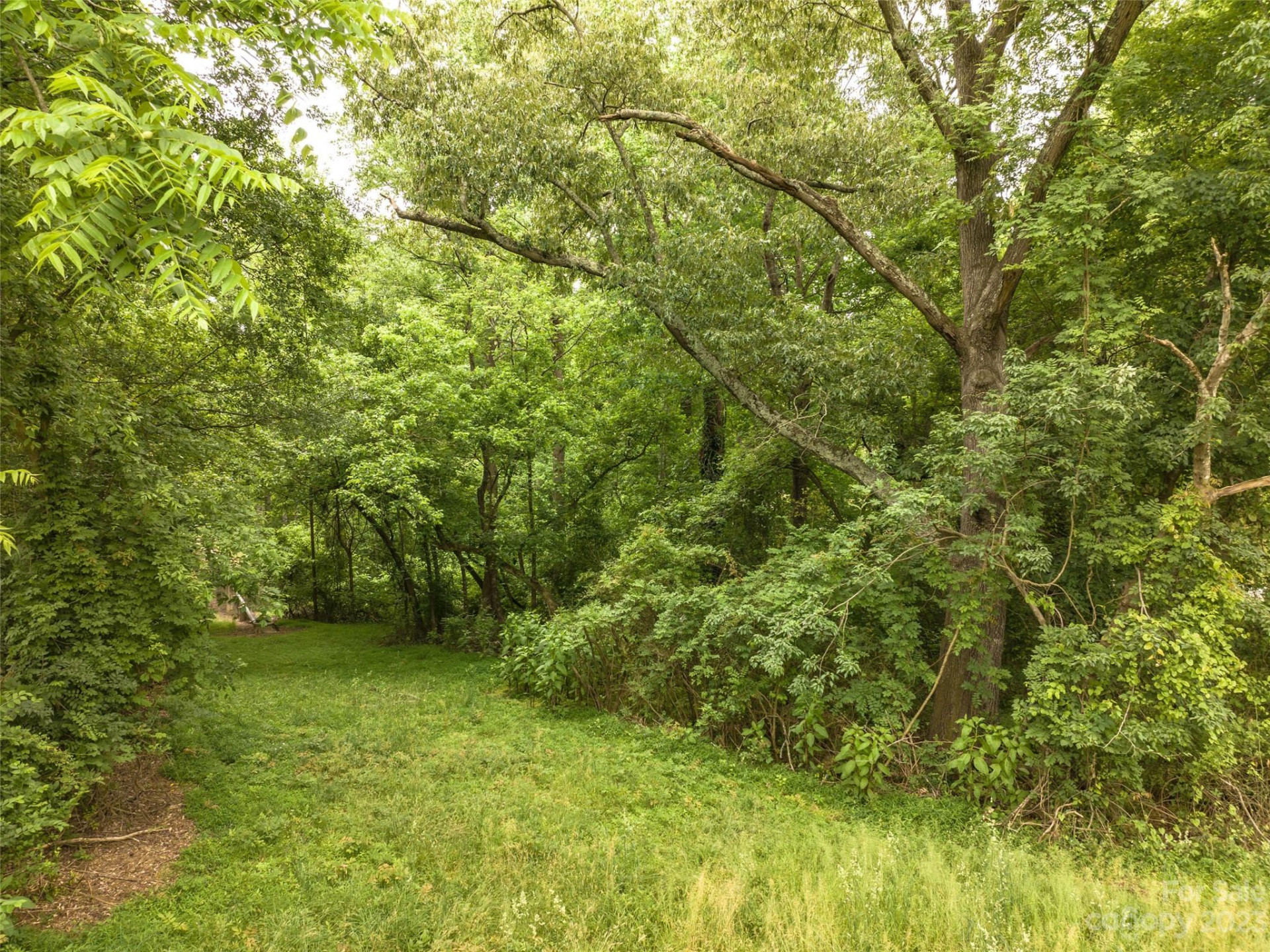 0 Kimbrell Lane - Photo 11