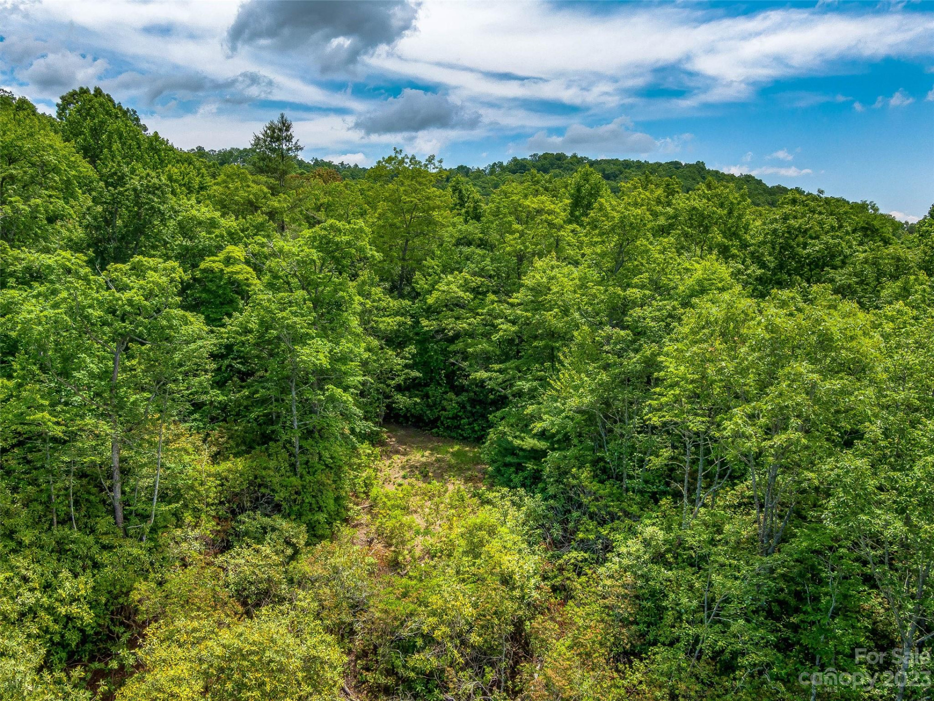 999 Big Hill Road - Photo 12