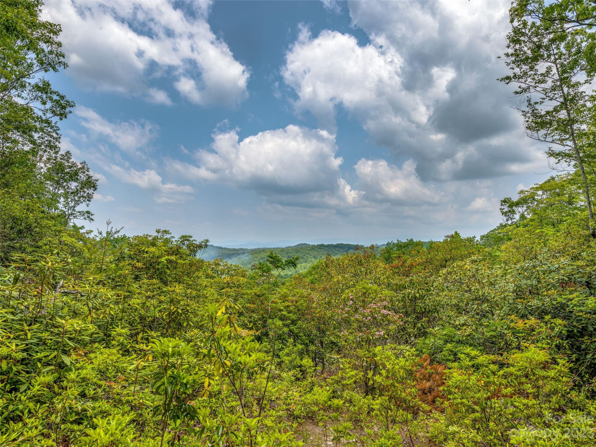 999 Big Hill Road - Photo 15