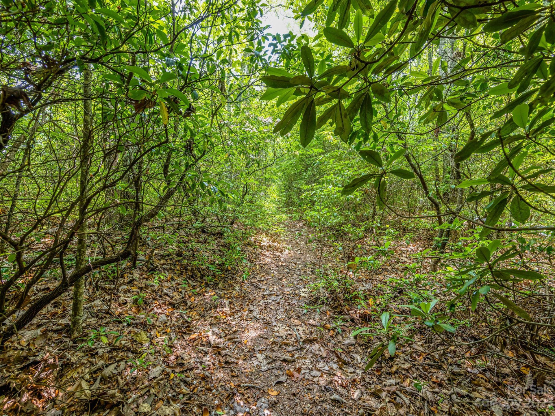 999 Big Hill Road - Photo 16