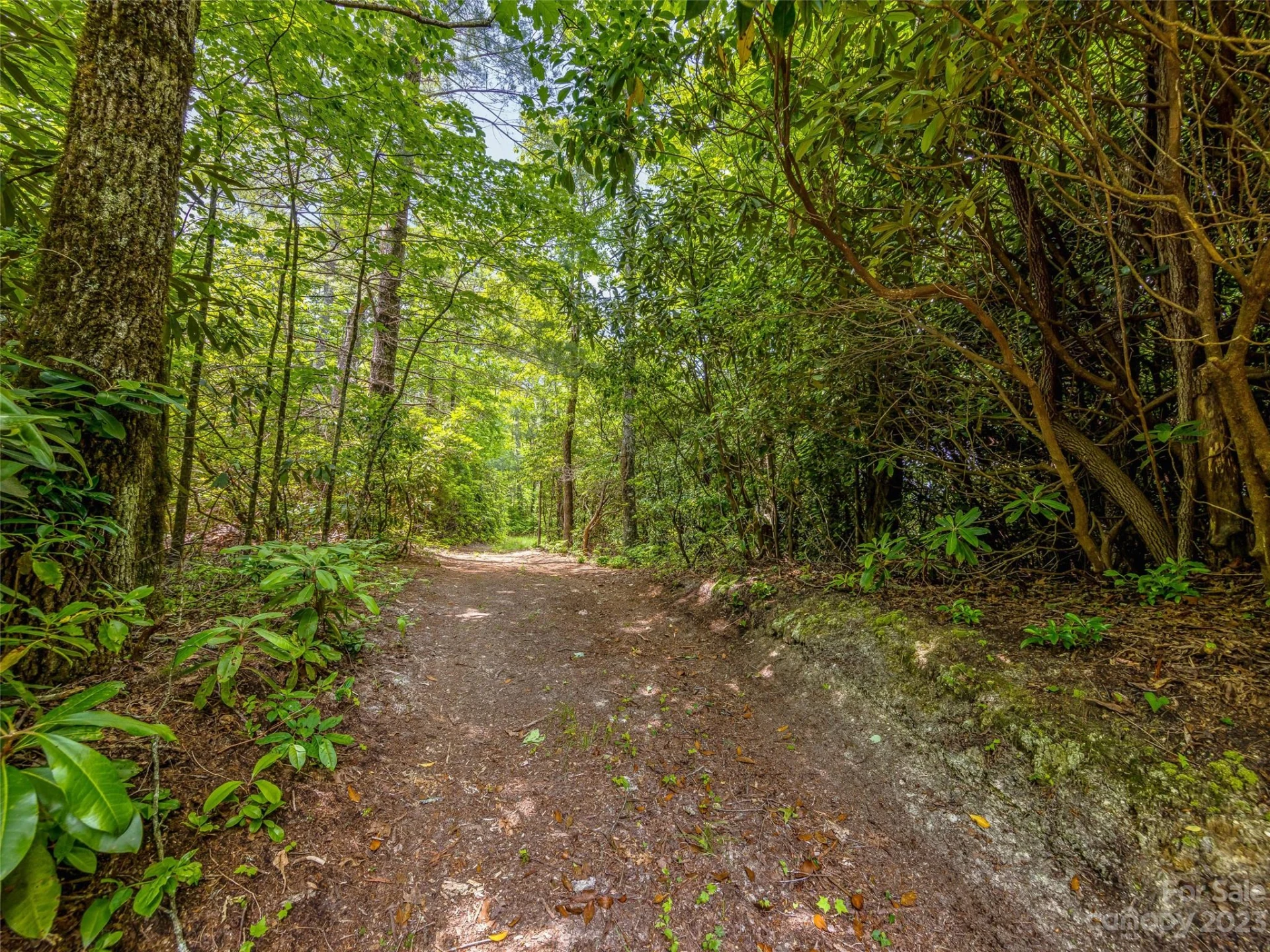 999 Big Hill Road - Photo 22