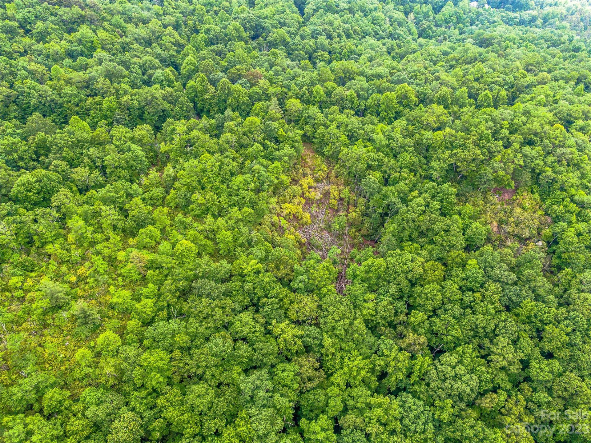 999 Big Hill Road - Photo 29