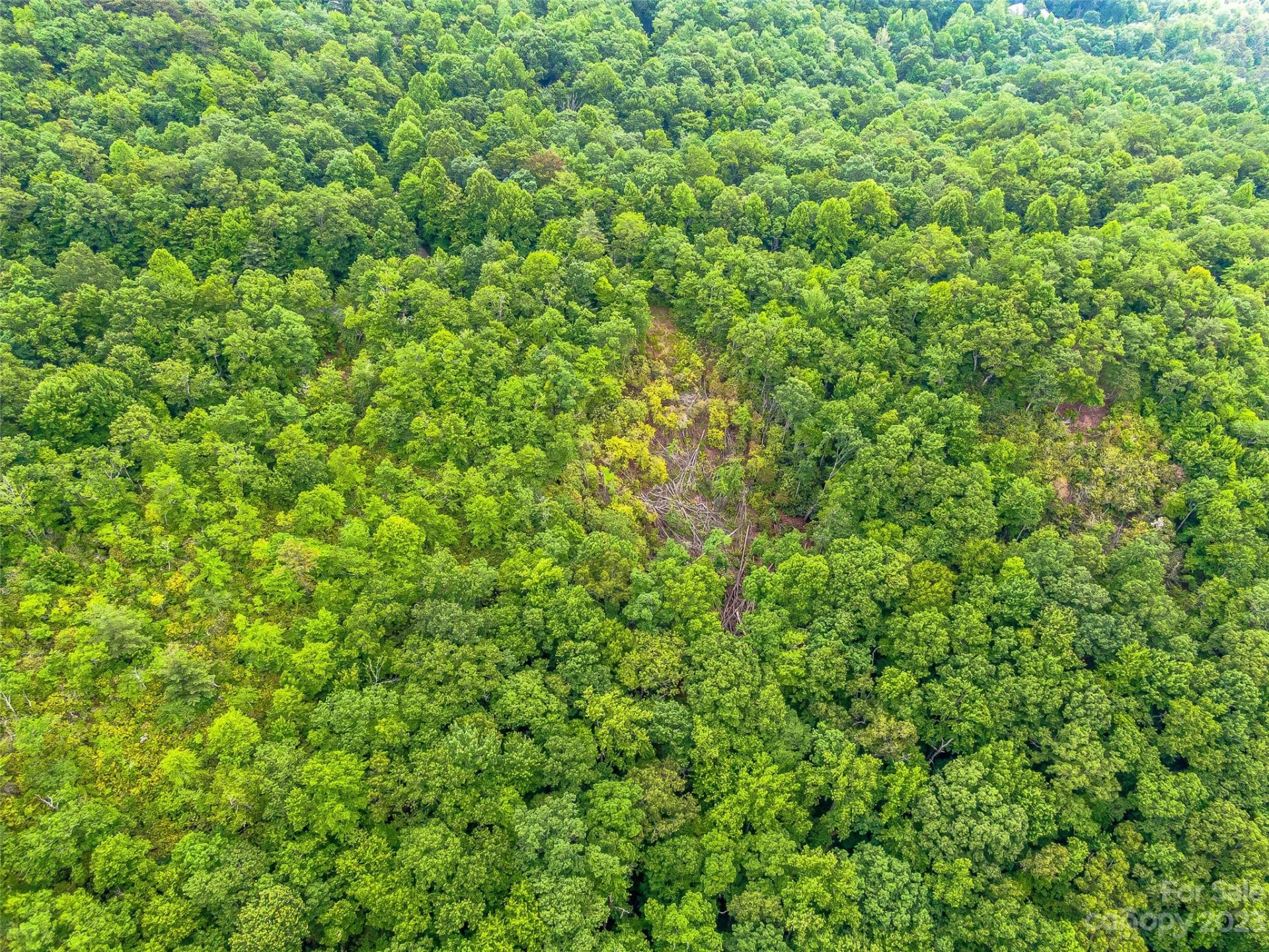 999 Big Hill Road - Photo 29