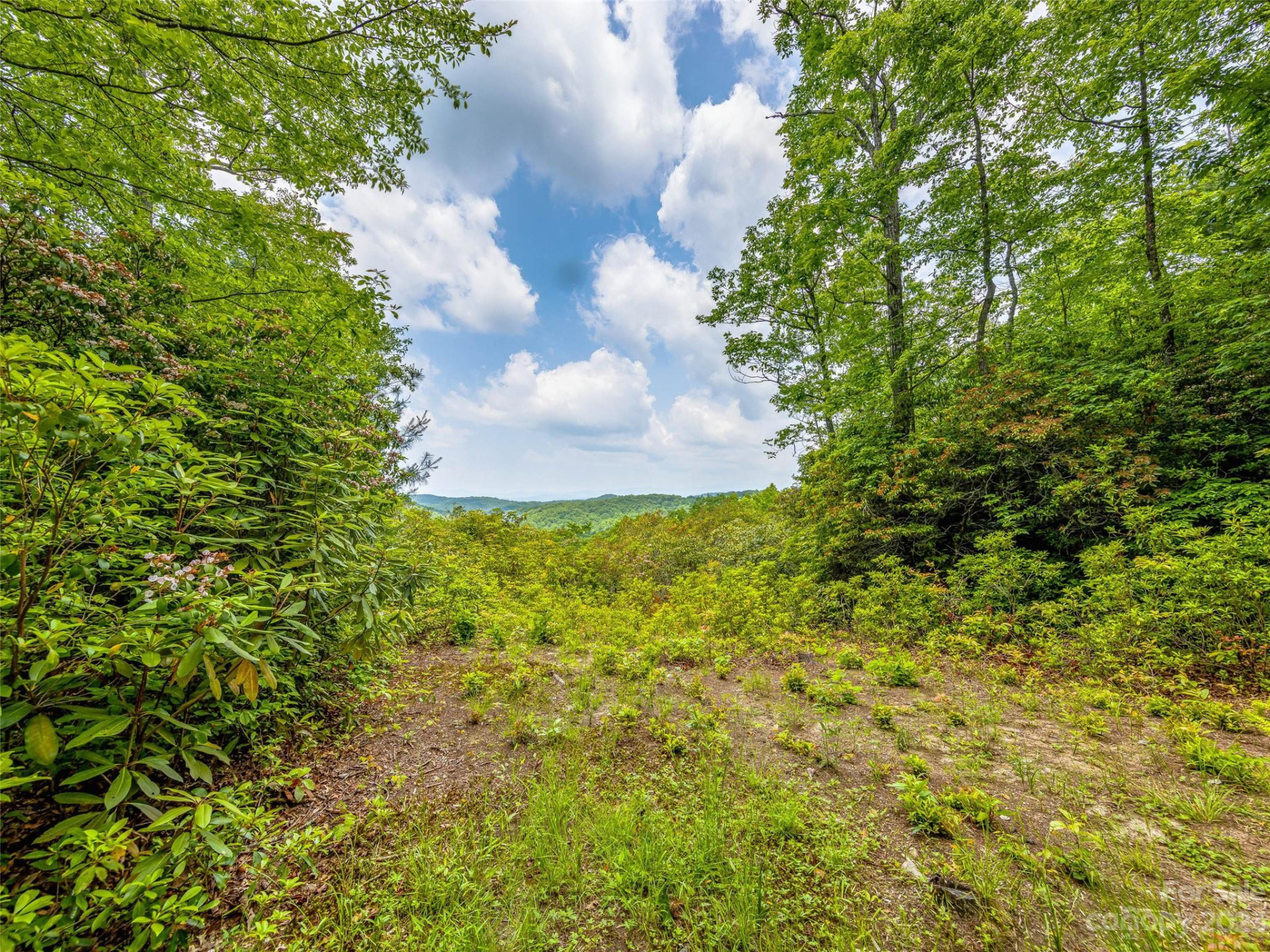 999 Big Hill Road - Photo 4