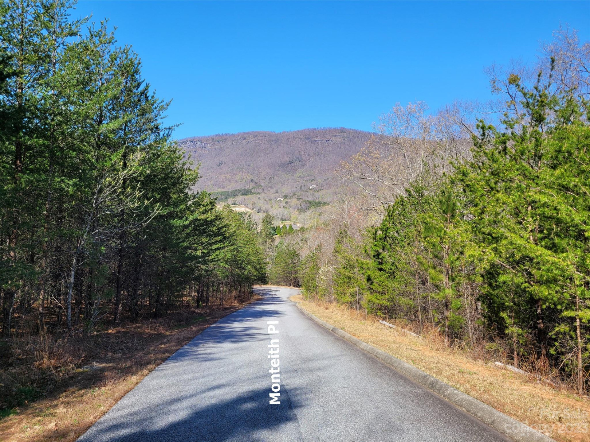 LOT 25 Monteith Place - Photo 3