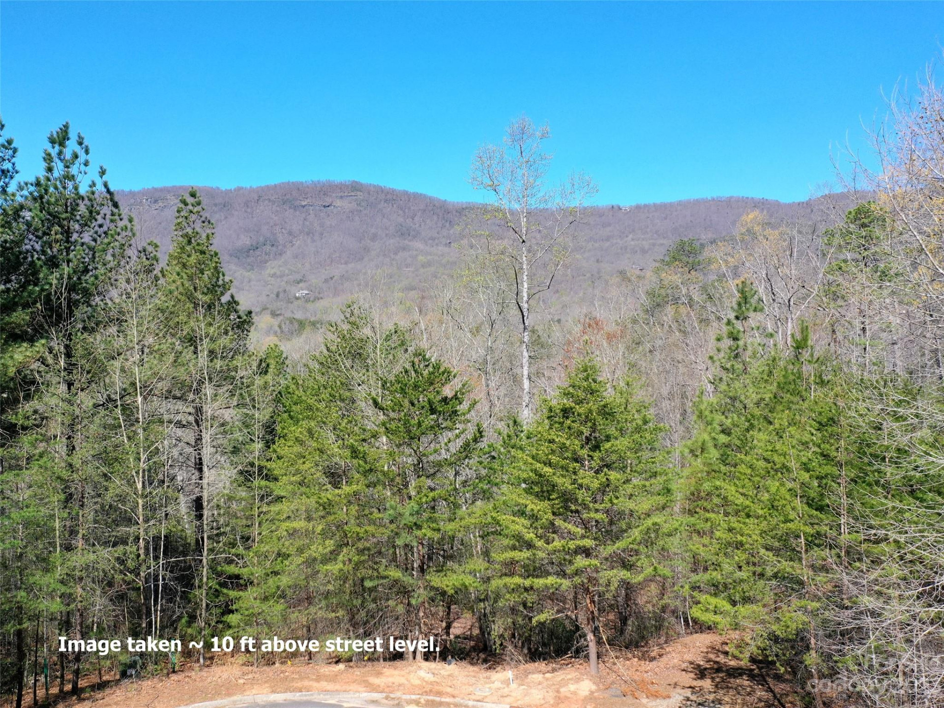 LOT 25 Monteith Place - Photo 4