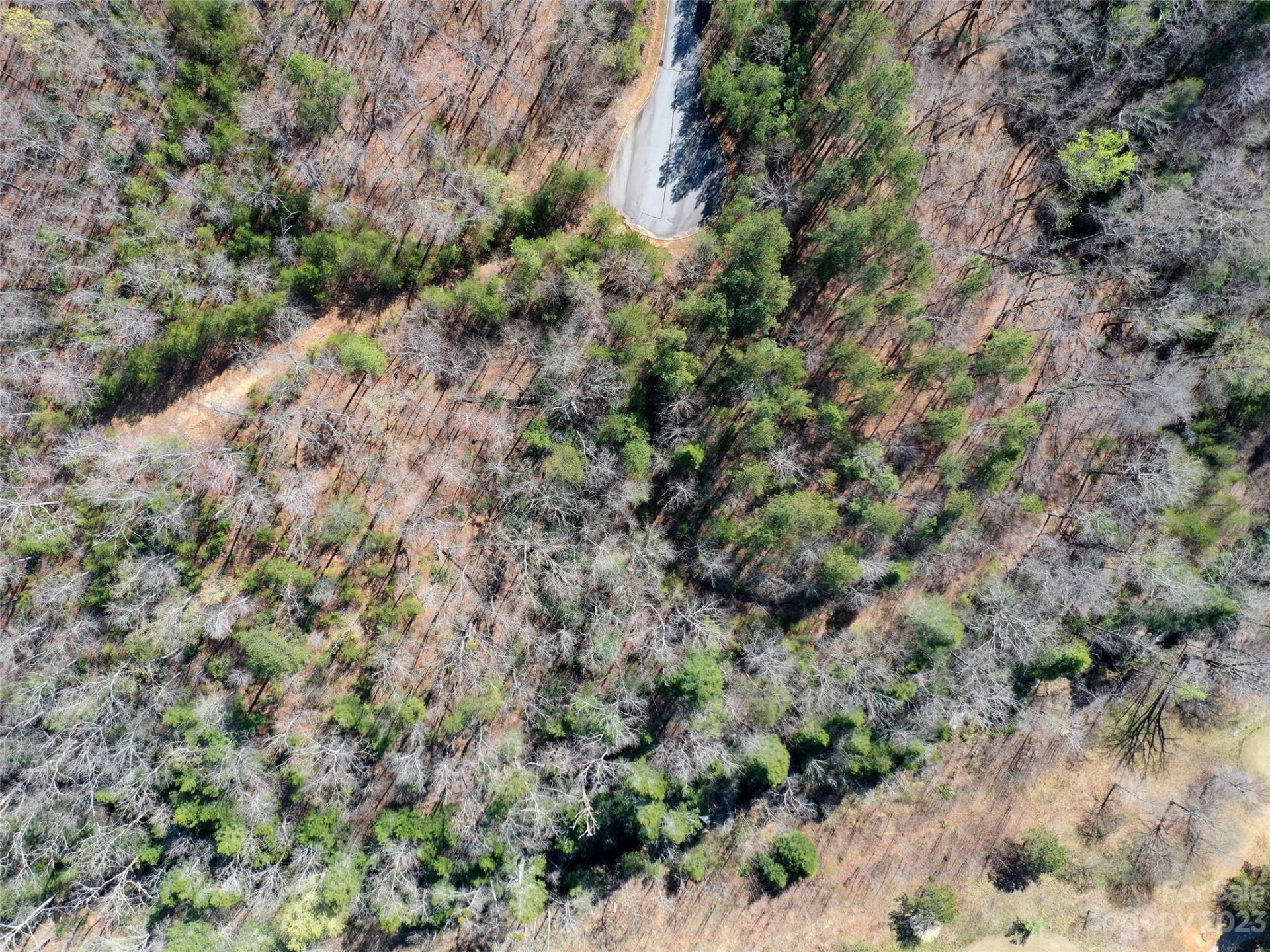 LOT 25 Monteith Place - Photo 9